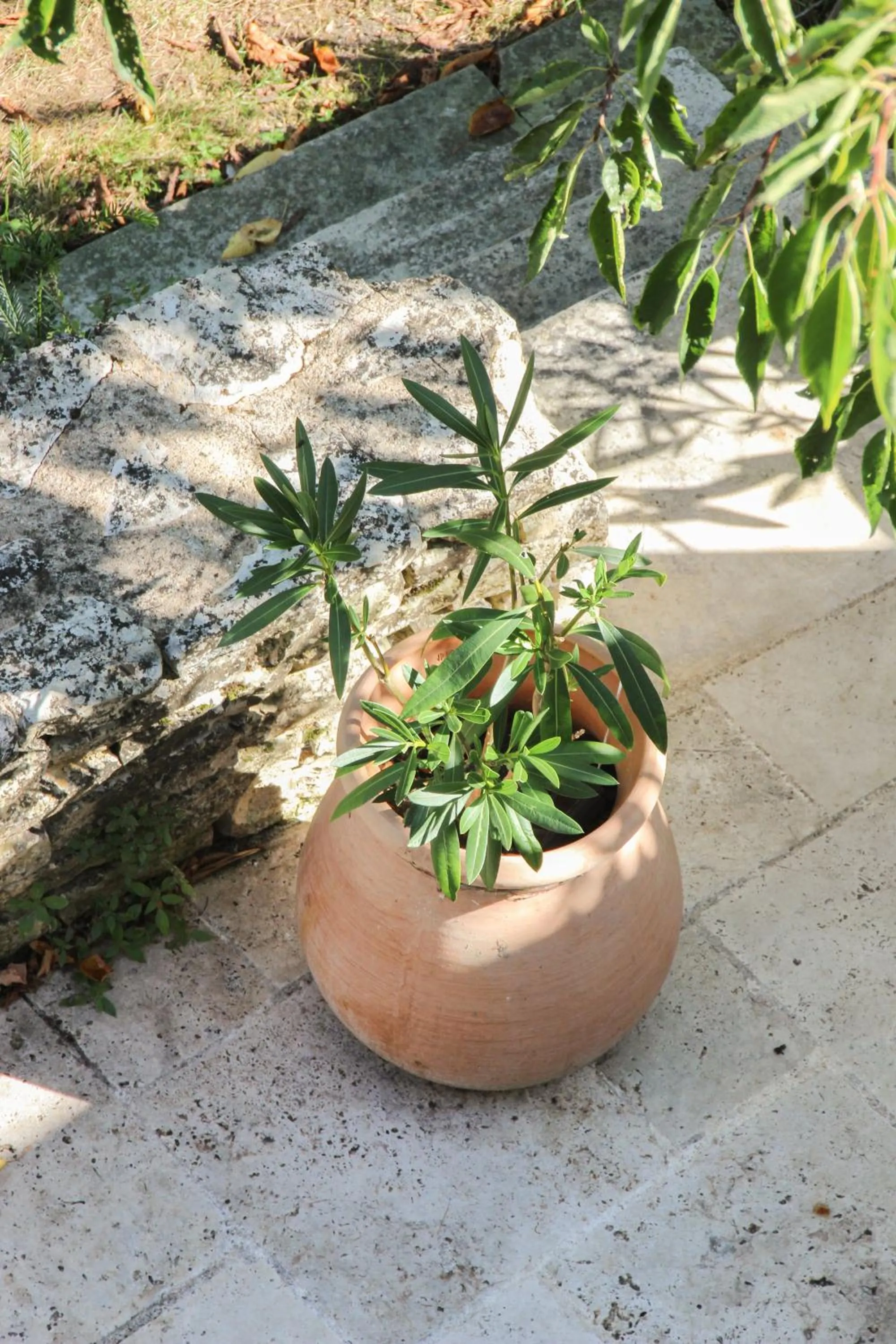 Spring in Moulins de Clan