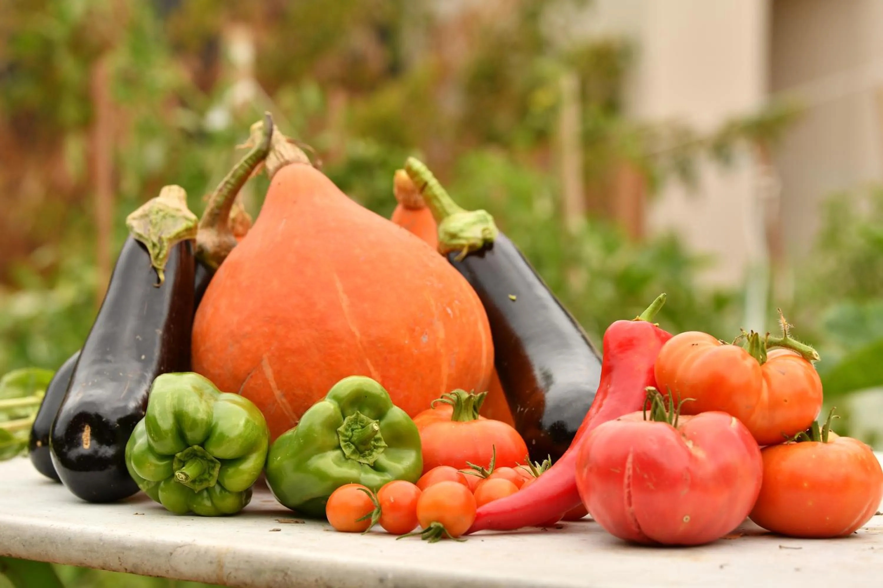 Property building in Ô gré des sens