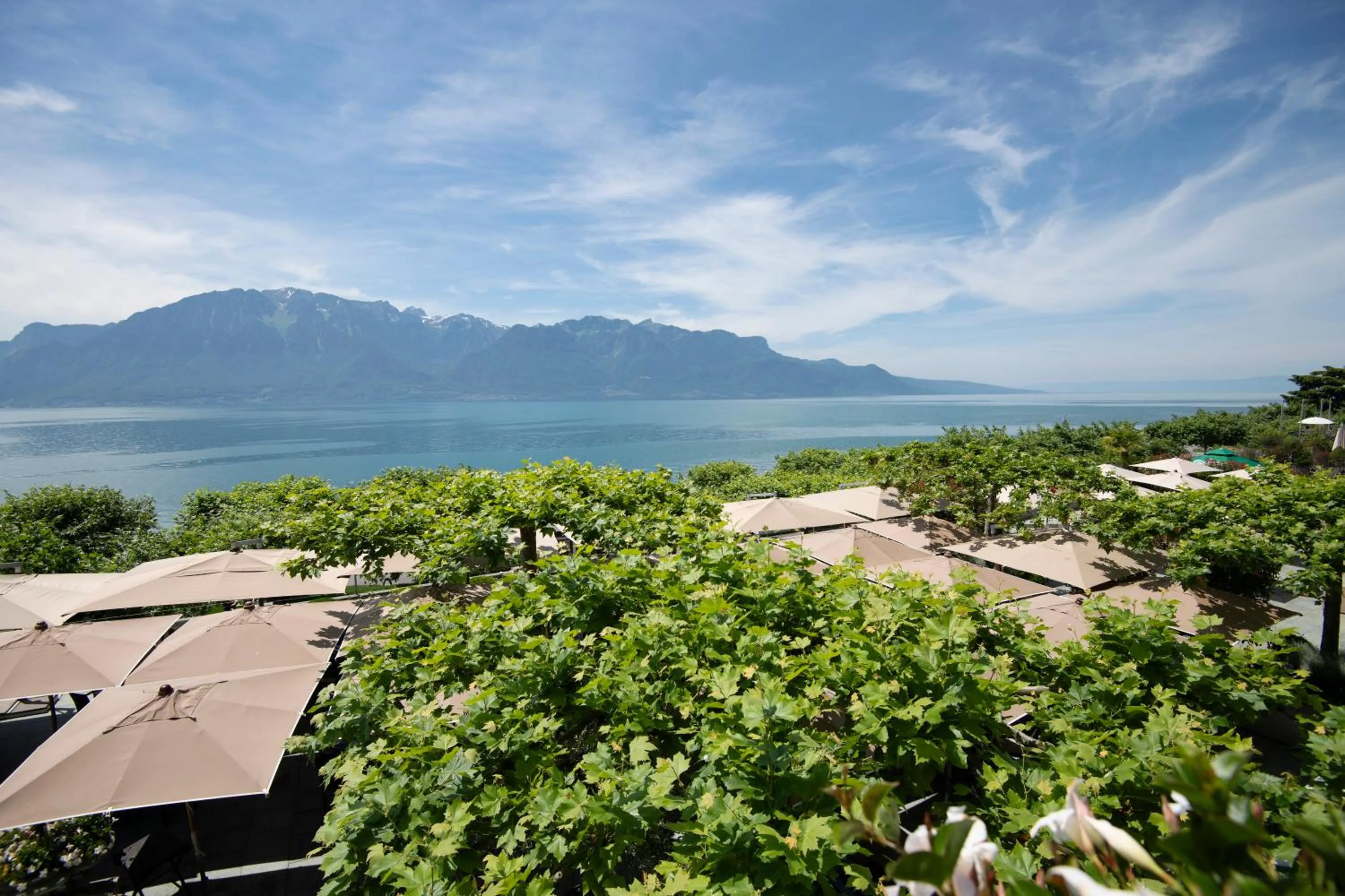Lake view in Hôtel Des Trois Couronnes & Spa - The Leading Hotels of the World