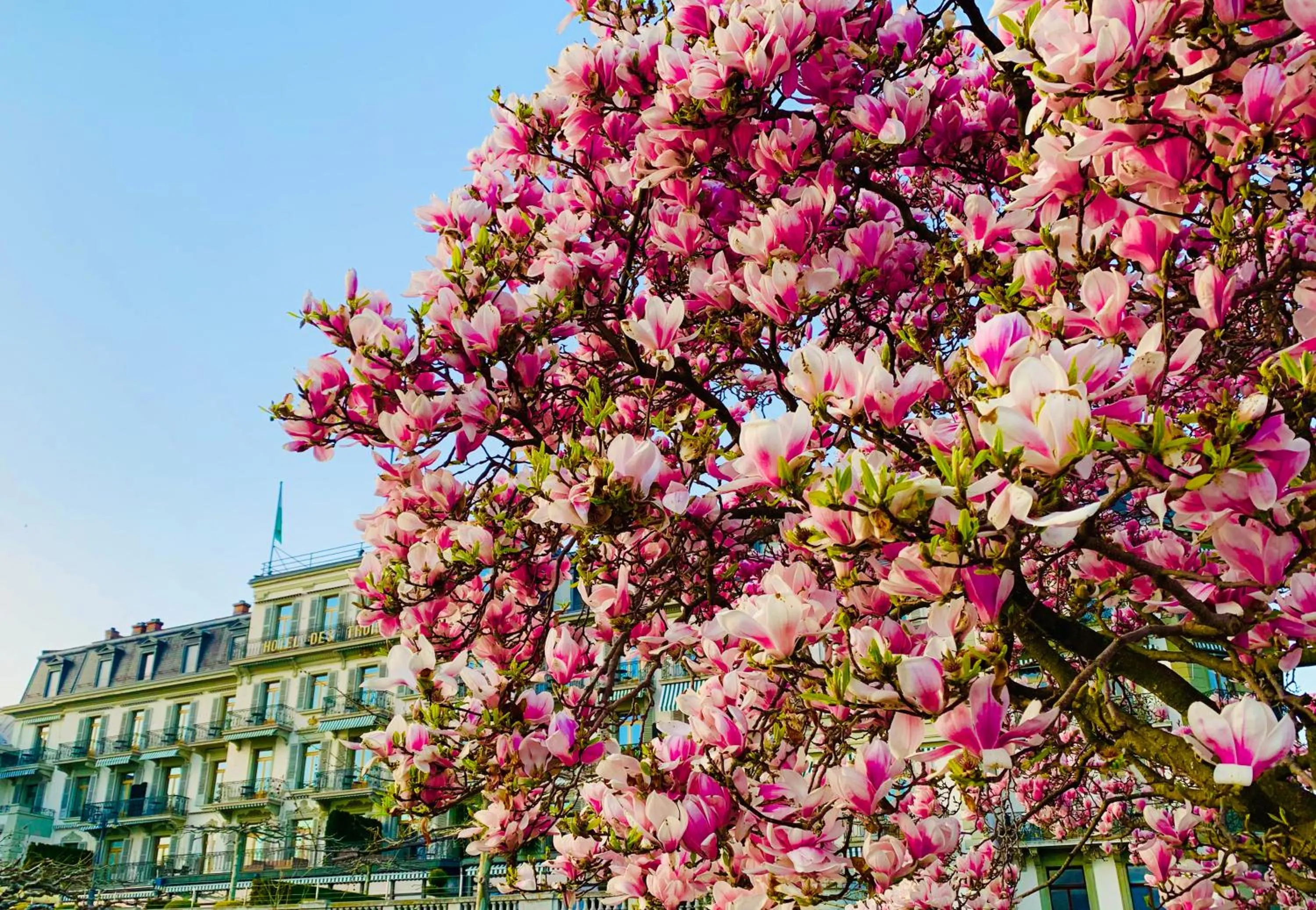 Spring in Hôtel Des Trois Couronnes & Spa - The Leading Hotels of the World
