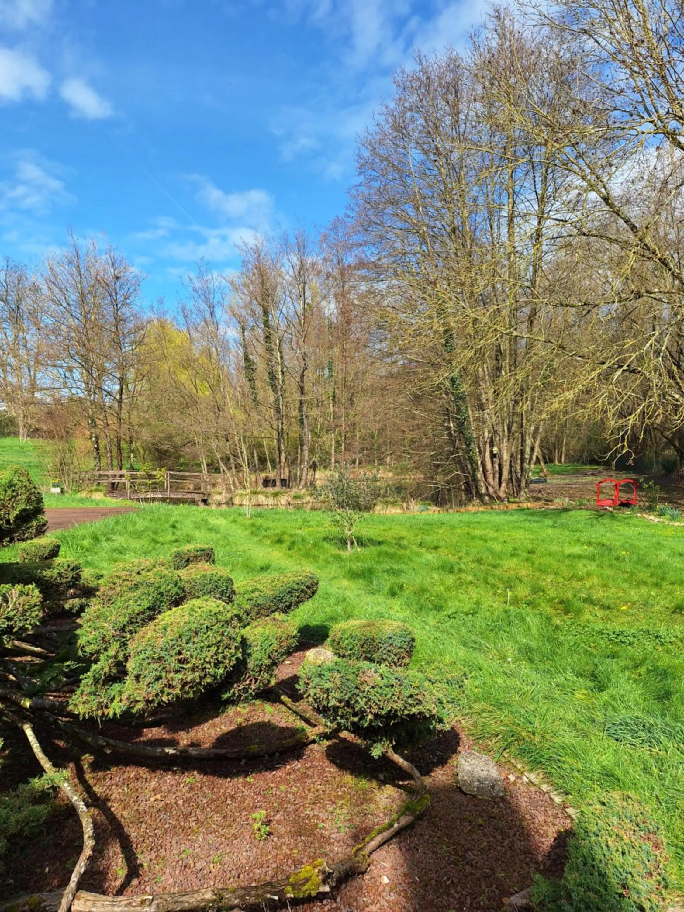 Garden in Traînefeuilles - Chambres d'hôtes proche Zoo de Beauval