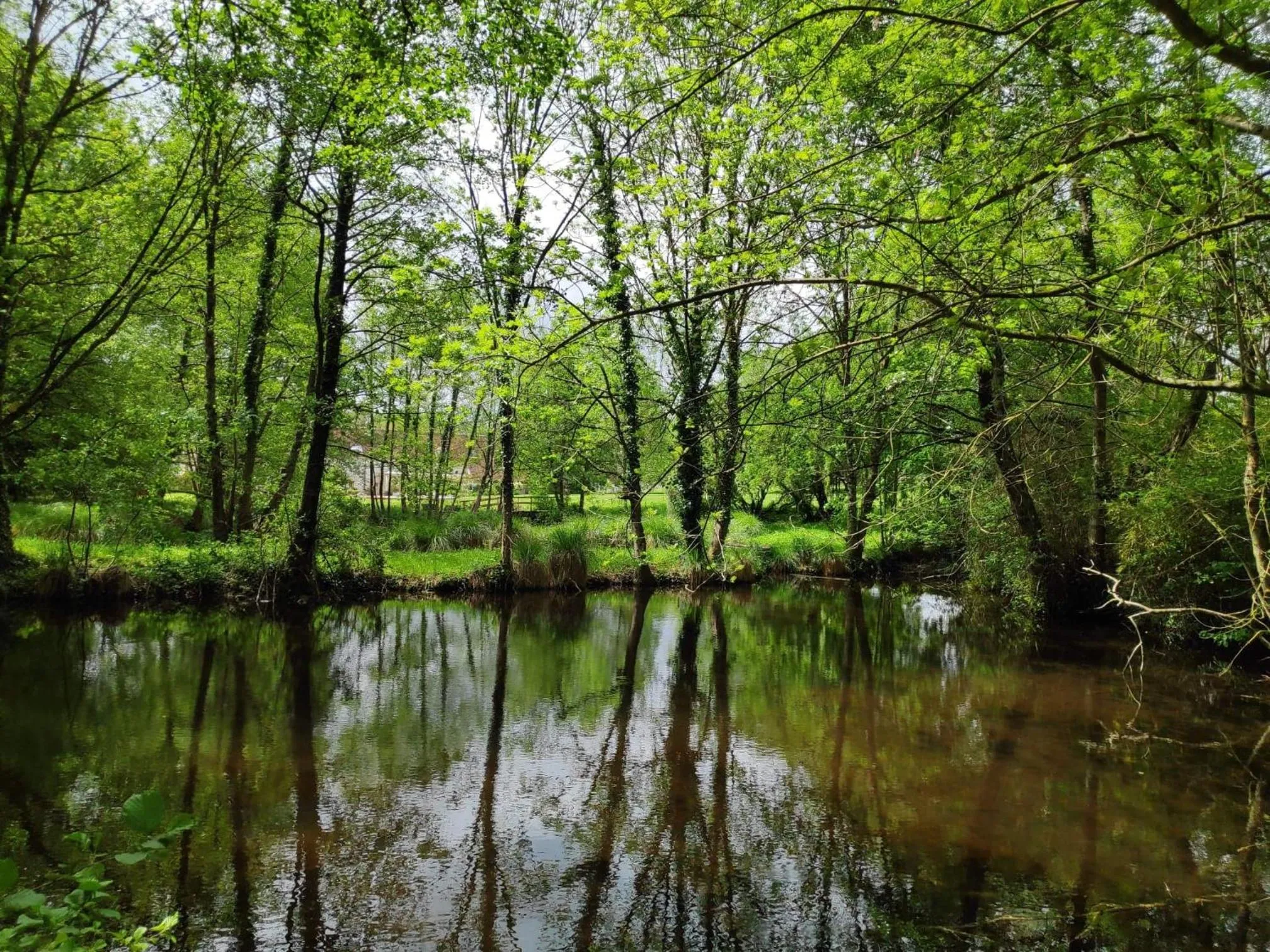 Natural landscape in Traînefeuilles - Chambres d'hôtes proche Zoo de Beauval