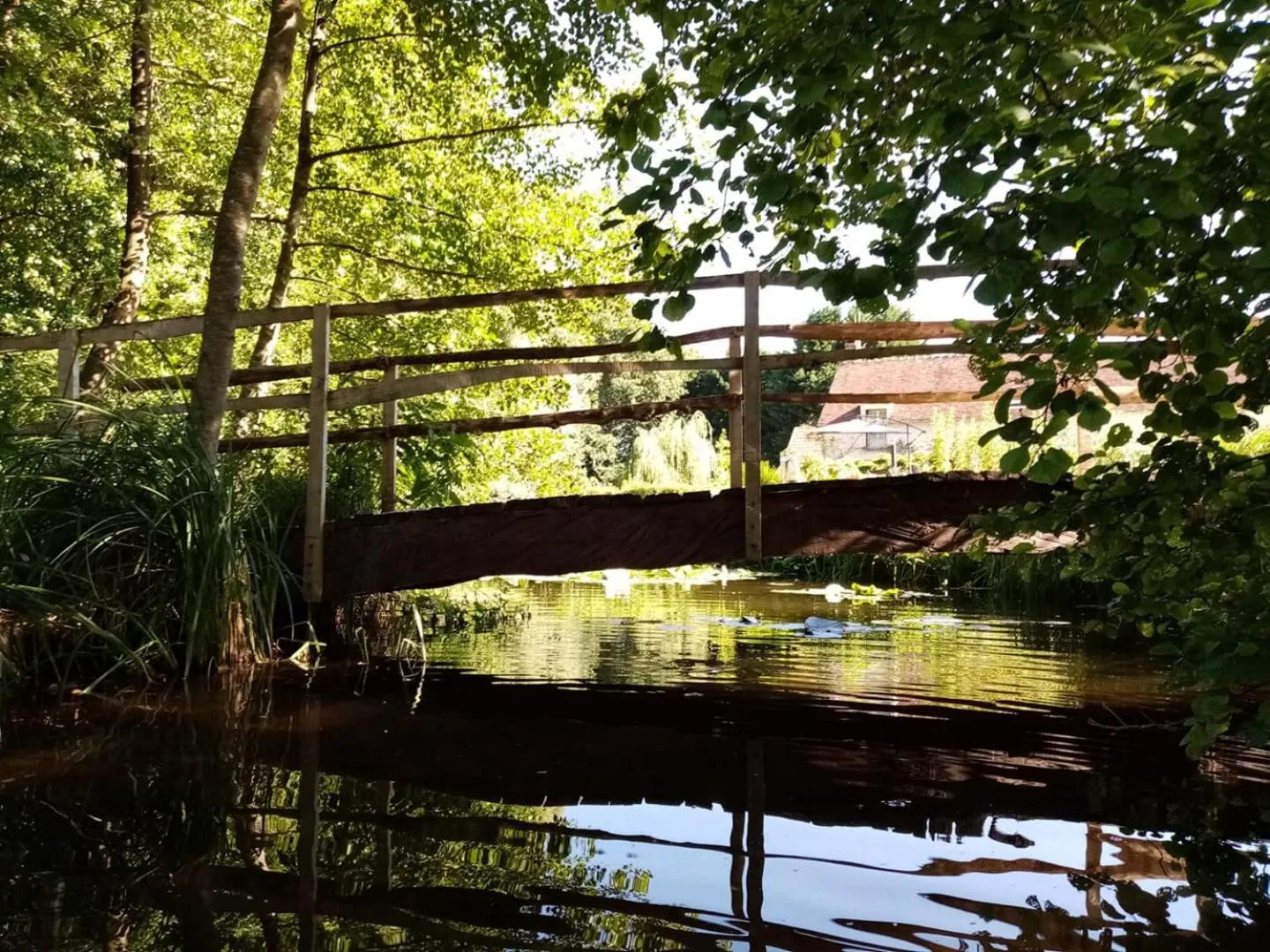 Natural landscape in Traînefeuilles - Chambres d'hôtes proche Zoo de Beauval