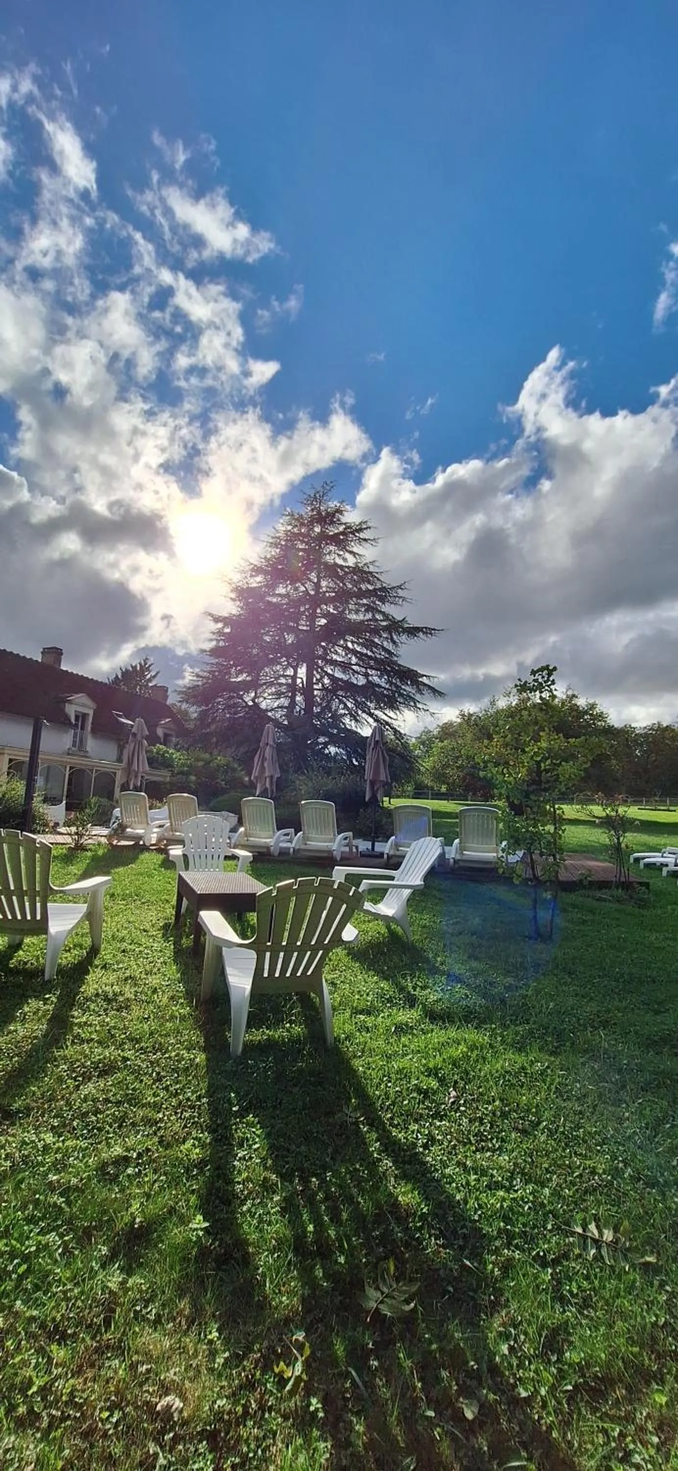 Garden in Traînefeuilles - Chambres d'hôtes proche Zoo de Beauval