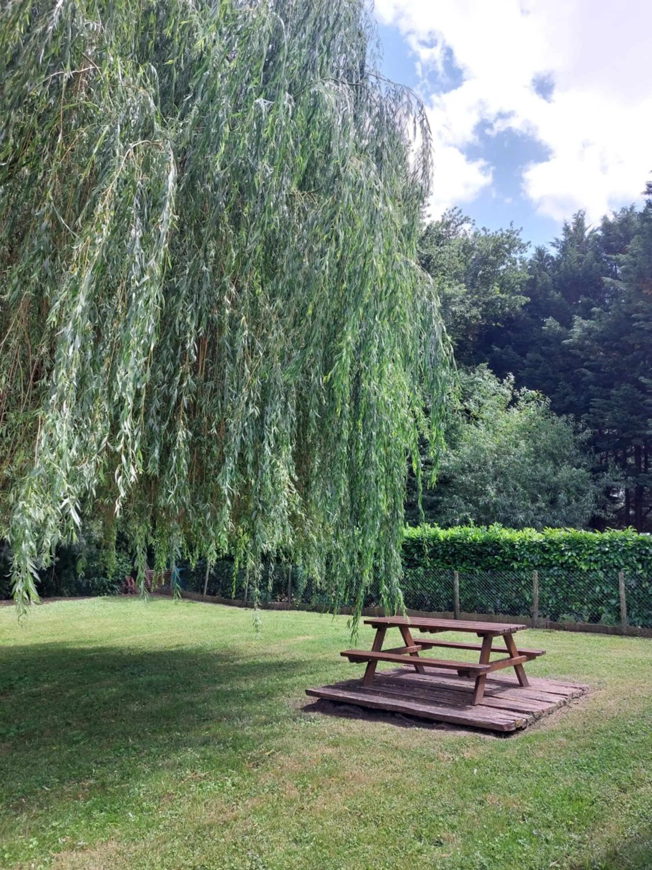 Garden in Traînefeuilles - Chambres d'hôtes proche Zoo de Beauval