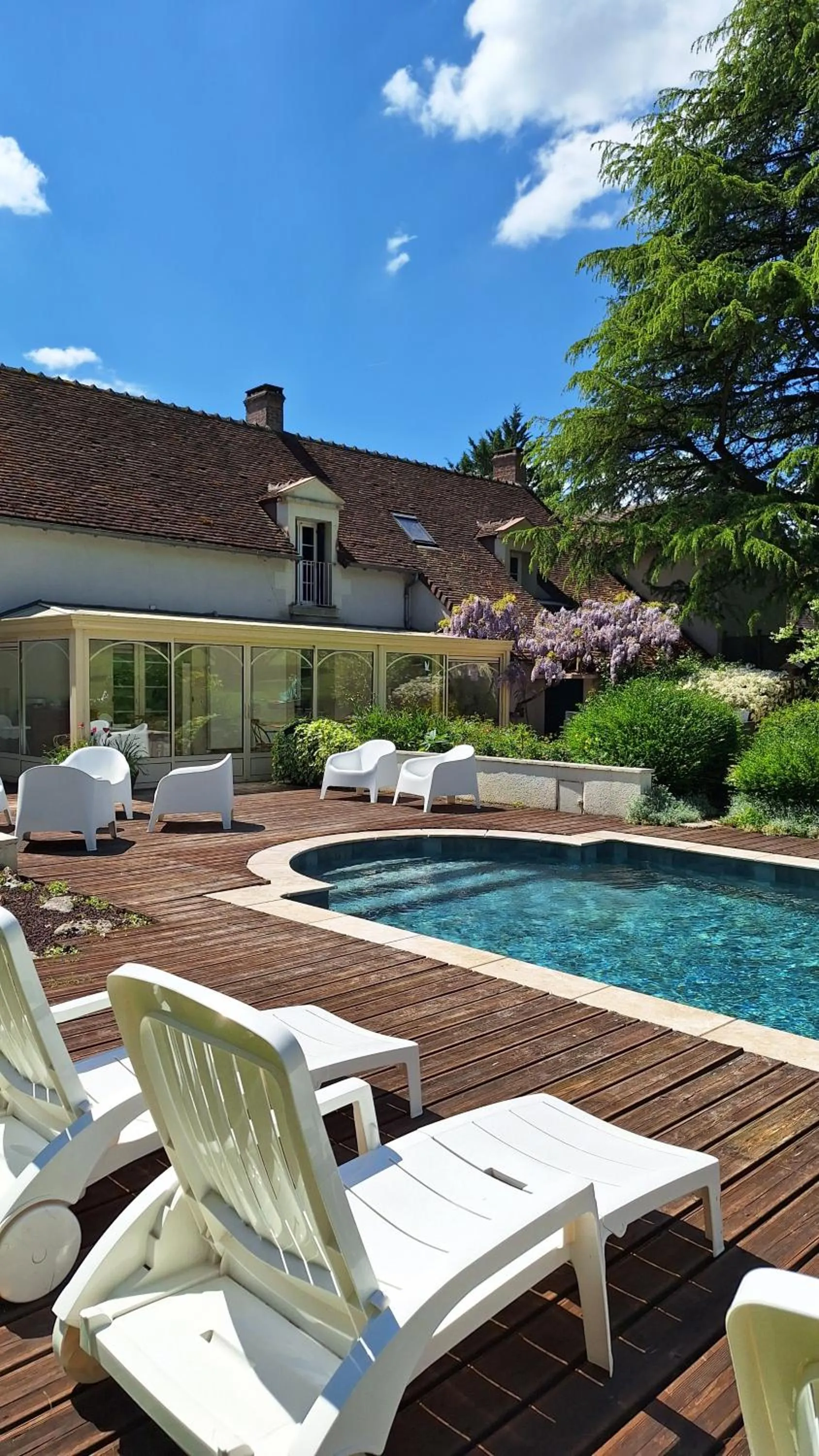 Garden in Traînefeuilles - Chambres d'hôtes proche Zoo de Beauval
