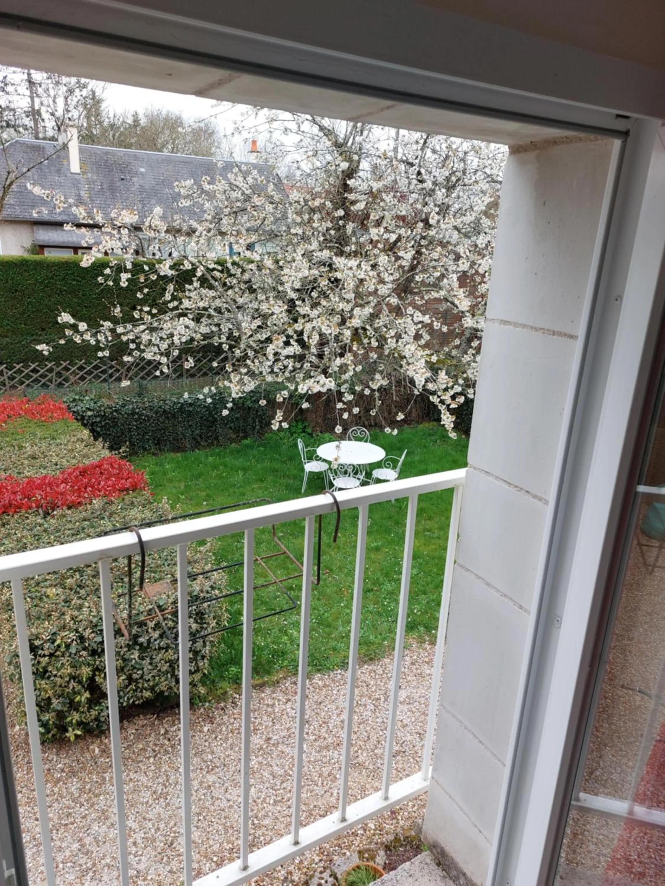 Spring in Traînefeuilles - Chambres d'hôtes proche Zoo de Beauval