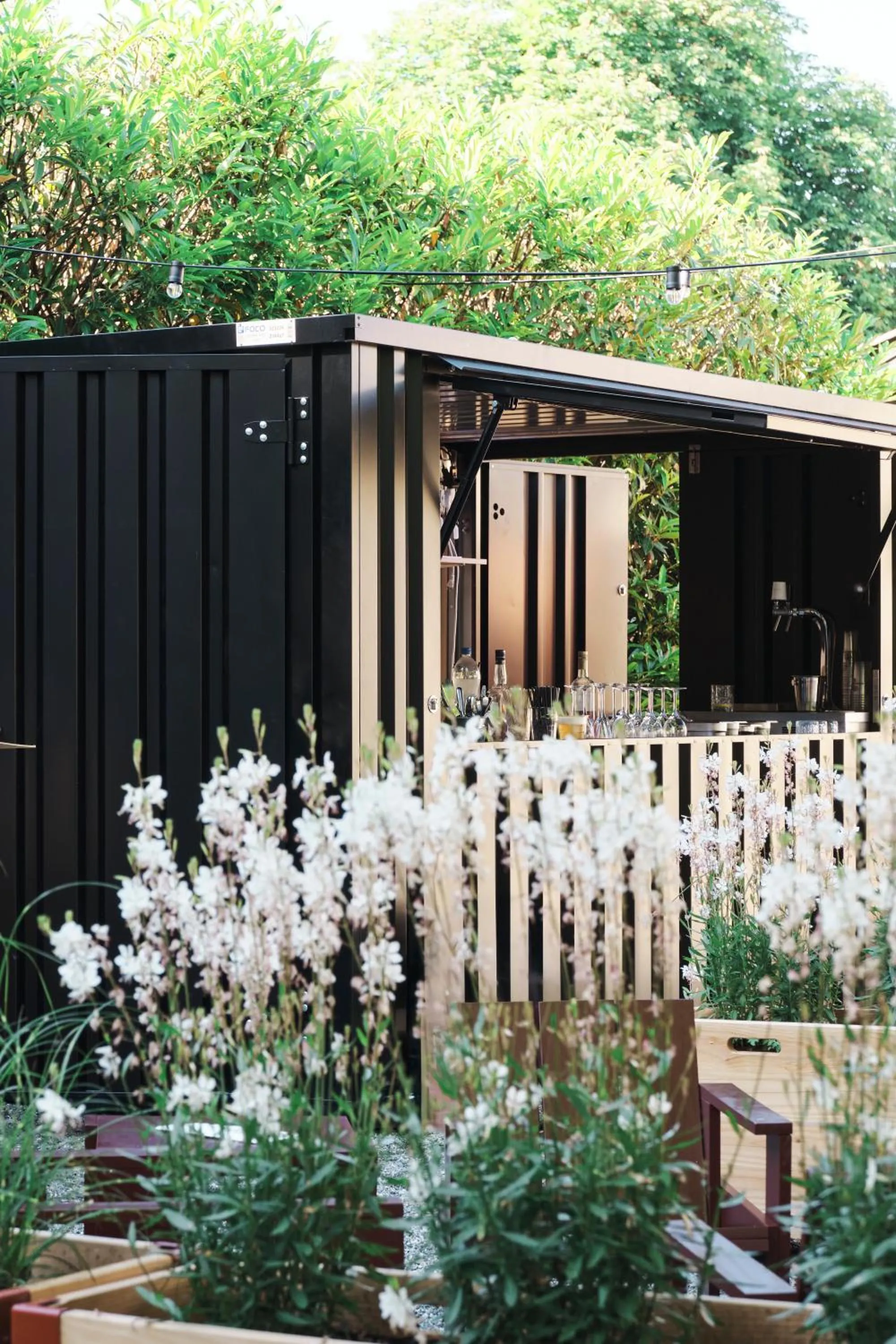 Restaurant/places to eat in Hotel Murten