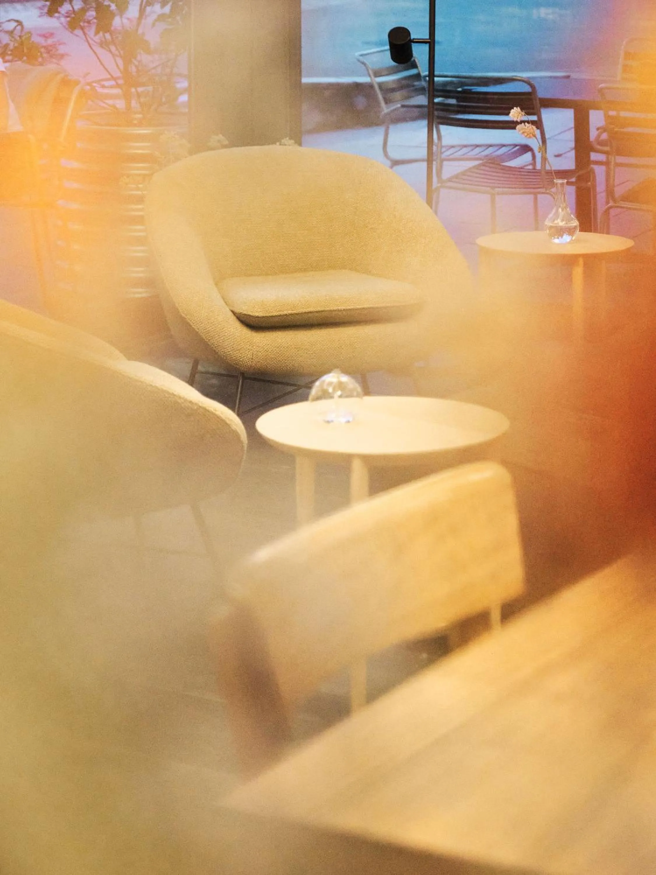 Restaurant/places to eat in Hotel Murten