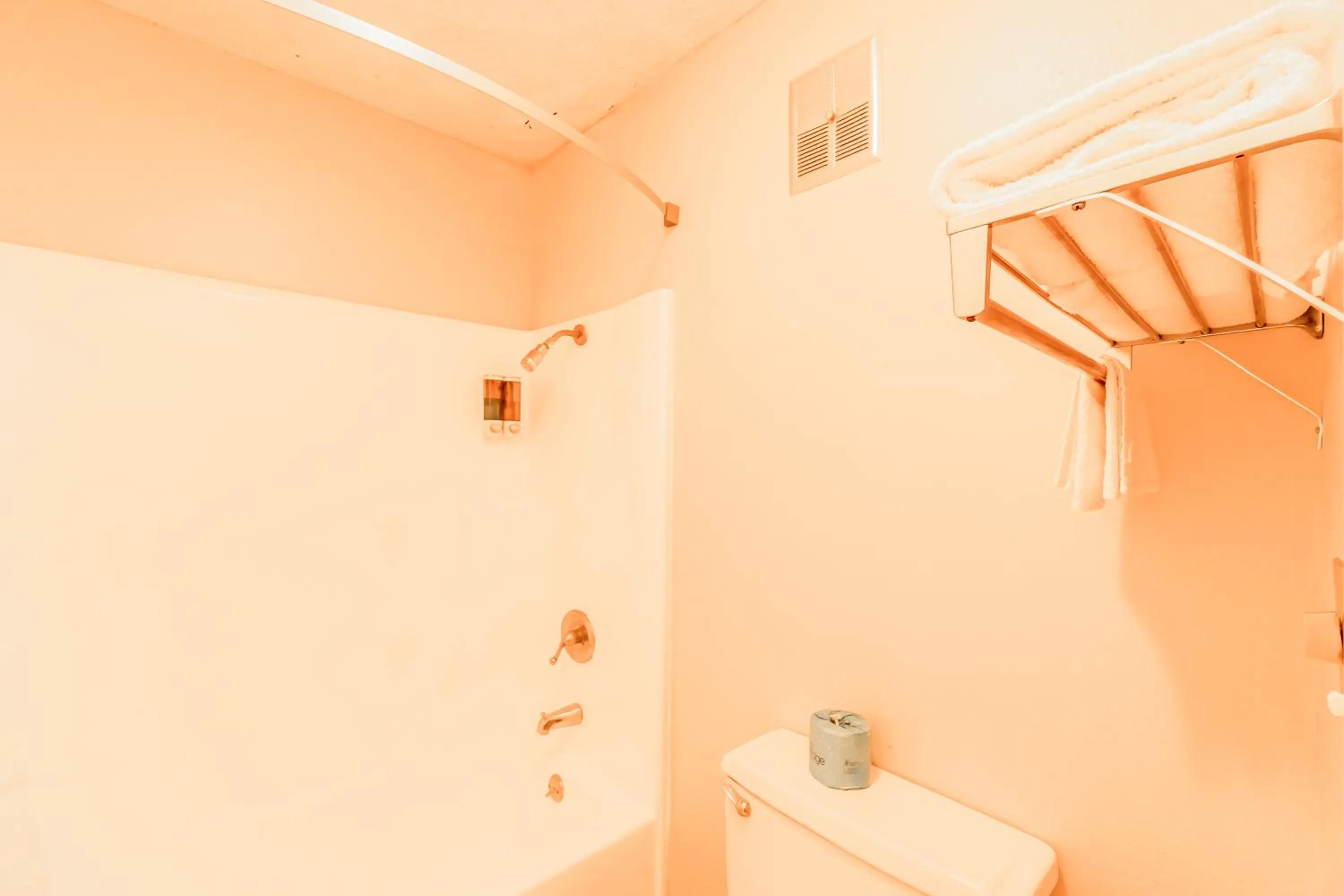 Bathroom in Lone Star Inn by OYO Vernon Texas Hwy 287