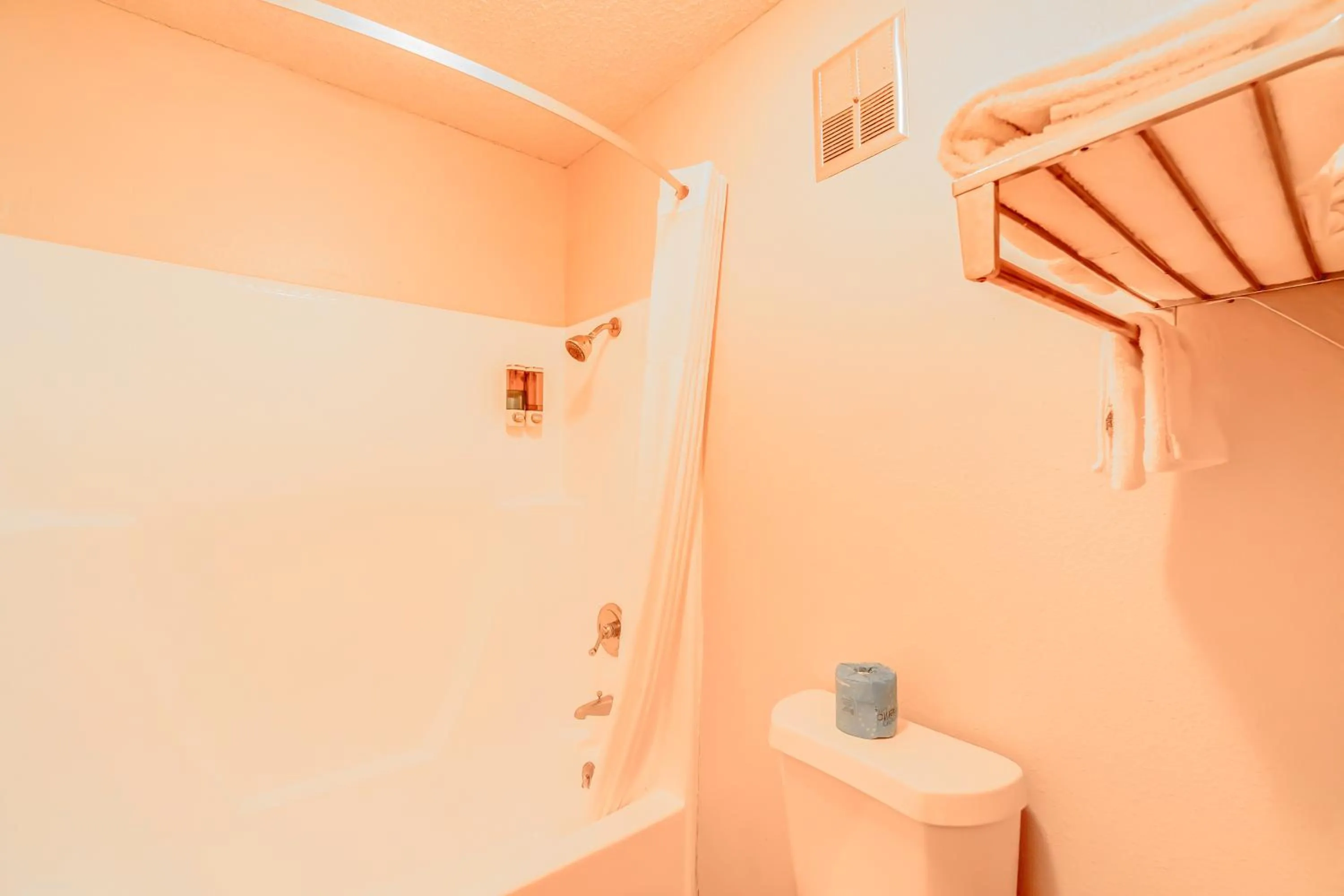 Bathroom in Lone Star Inn by OYO Vernon Texas Hwy 287