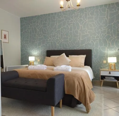 Fleurs de Cosmos Chambre d' hôtes Albi