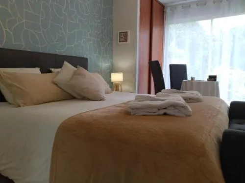 Fleurs de Cosmos Chambre d' hôtes Albi