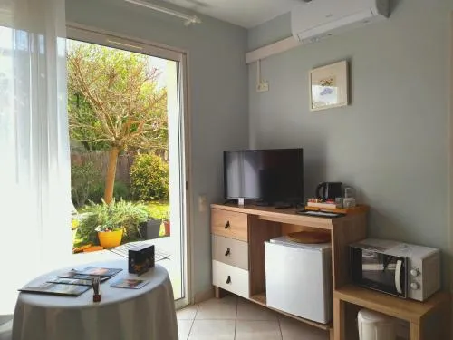 Fleurs de Cosmos Chambre d' hôtes Albi