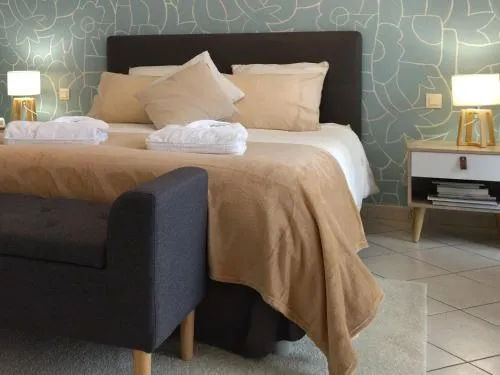 Fleurs de Cosmos Chambre d' hôtes Albi