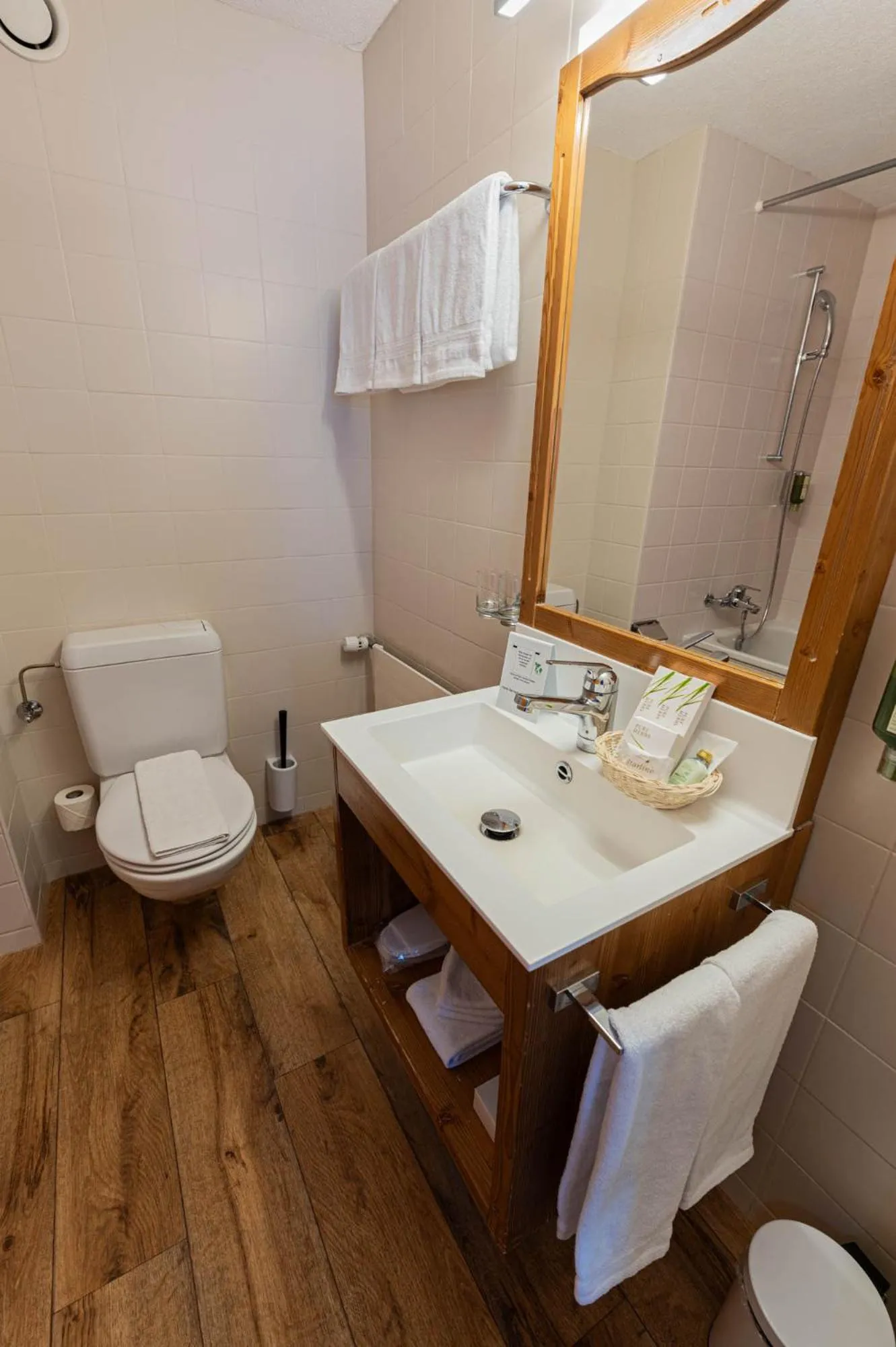 Toilet in Hotel Bernerhof Grindelwald