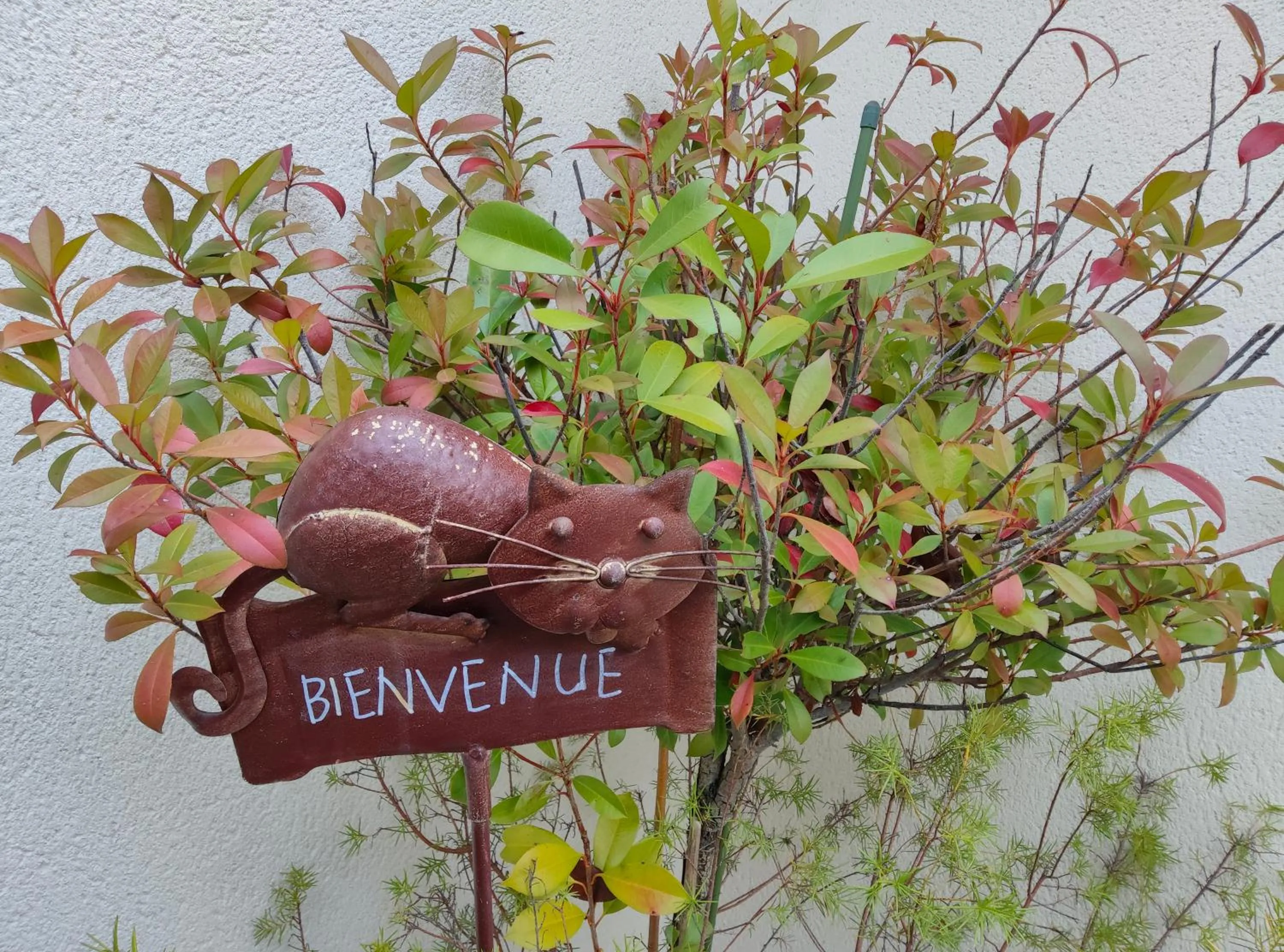 Du Côté de Chez Paule, chambre avec entrée indépendante et salle d'eau privative