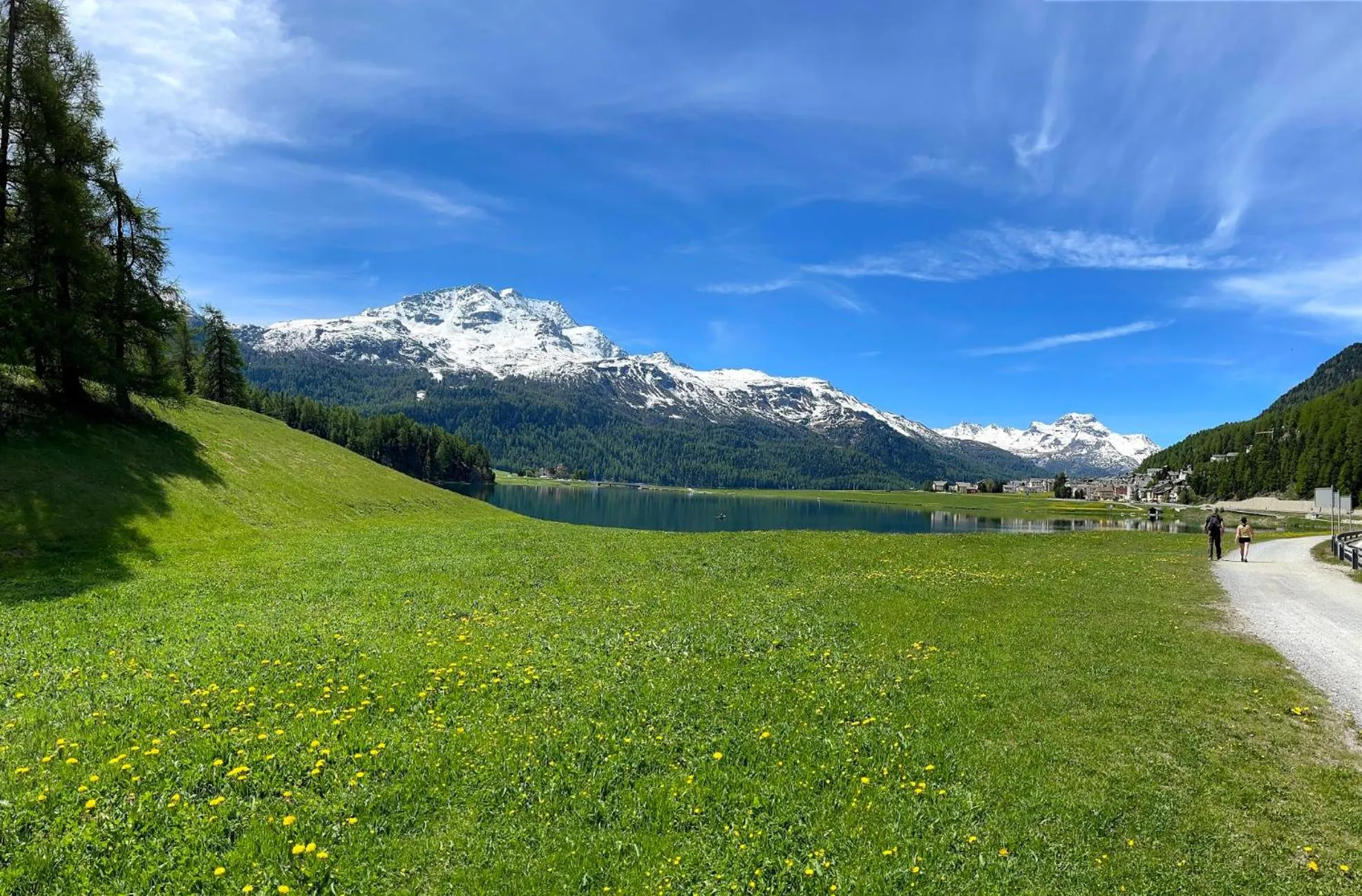 Natural landscape in Albana Hotel Silvaplana