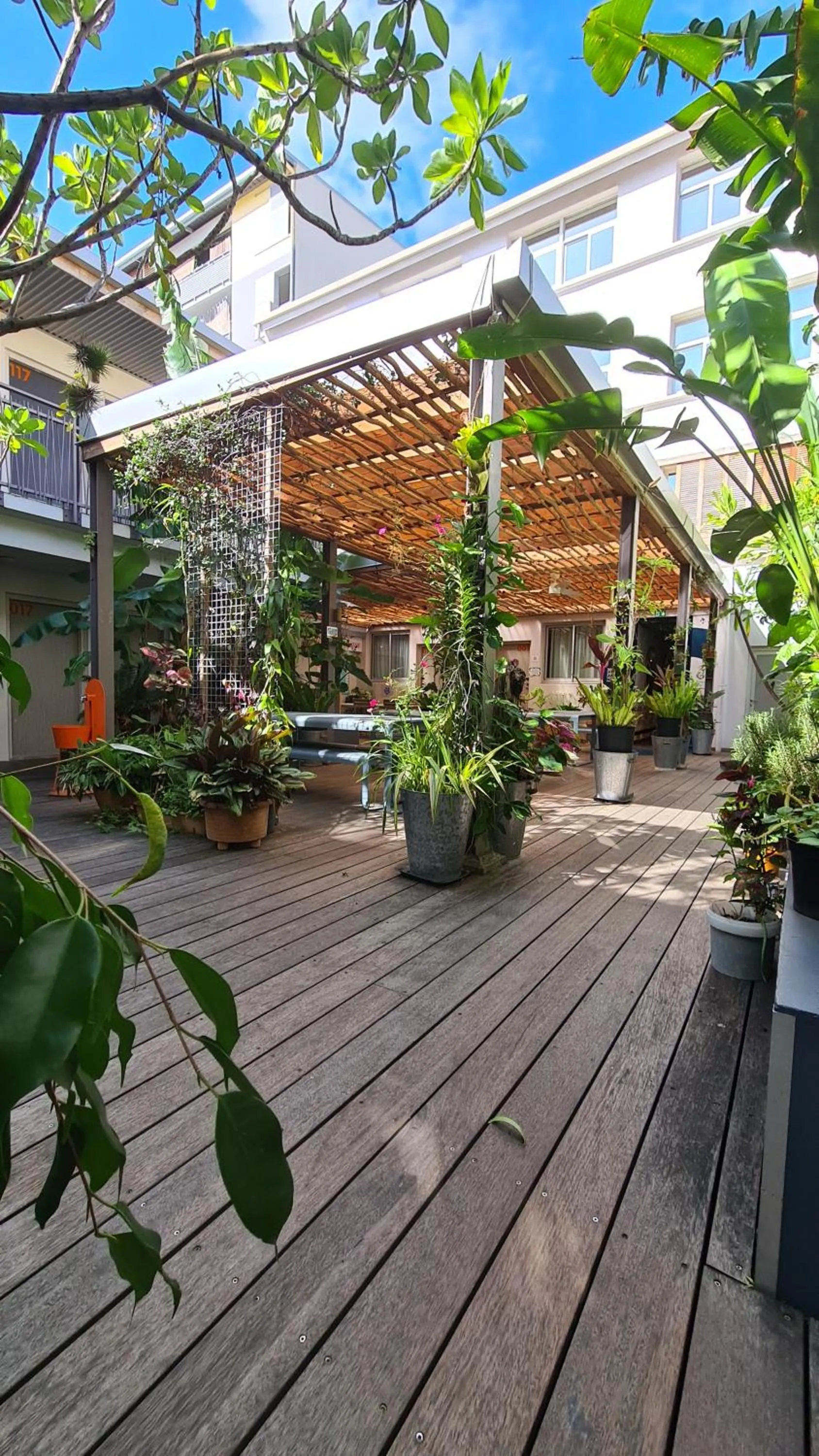 Patio in Gondwana City Art