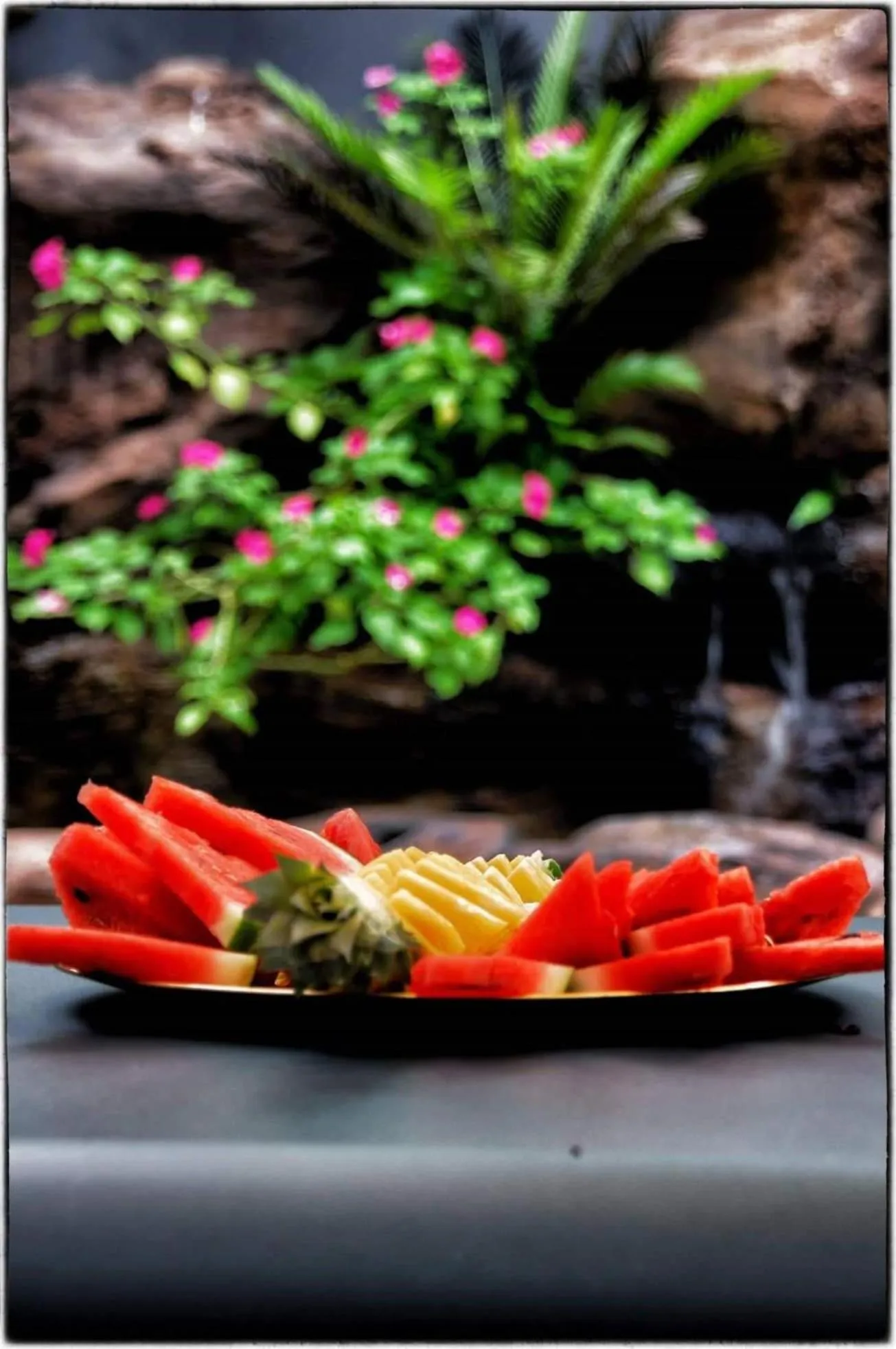 Restaurant/places to eat in Gondwana City Art