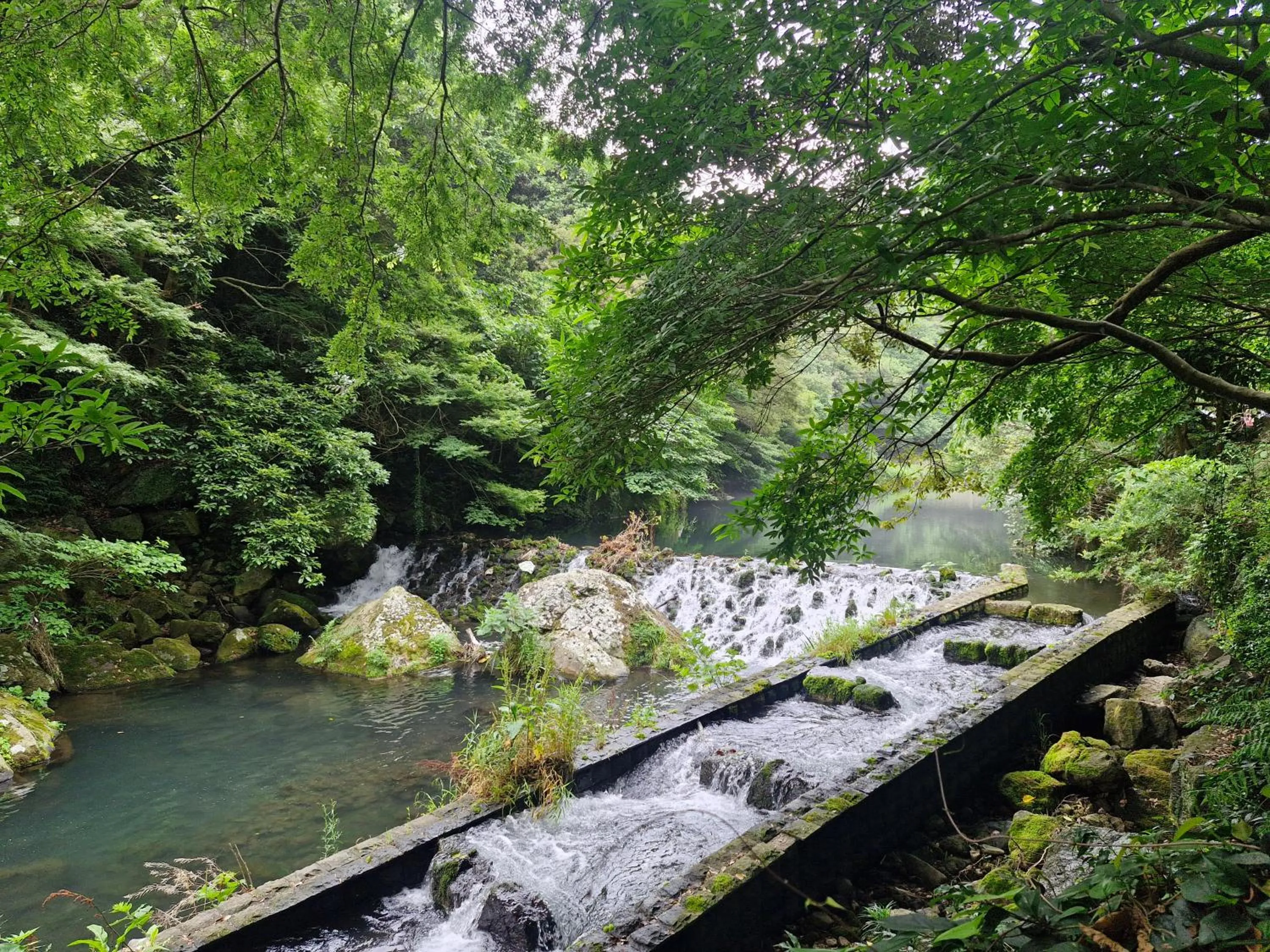 Natural landscape in Cornerstone Hotel