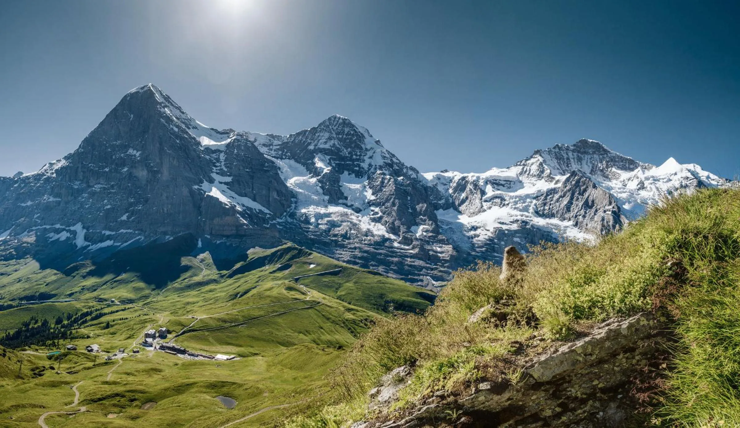 Natural landscape in Hotel Silberhorn - Residences & Spa Wengen