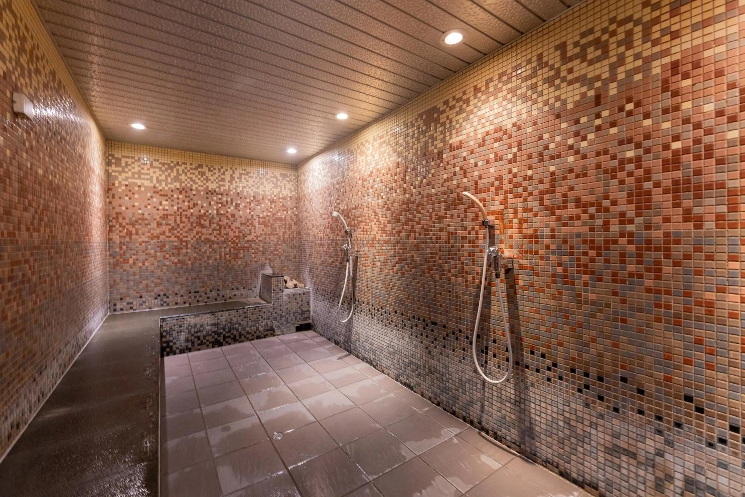 Sauna in The QUBE Hotel Chiba