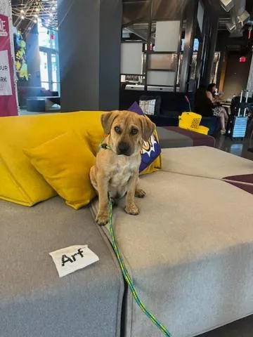 Aloft Omaha Aksarben Village