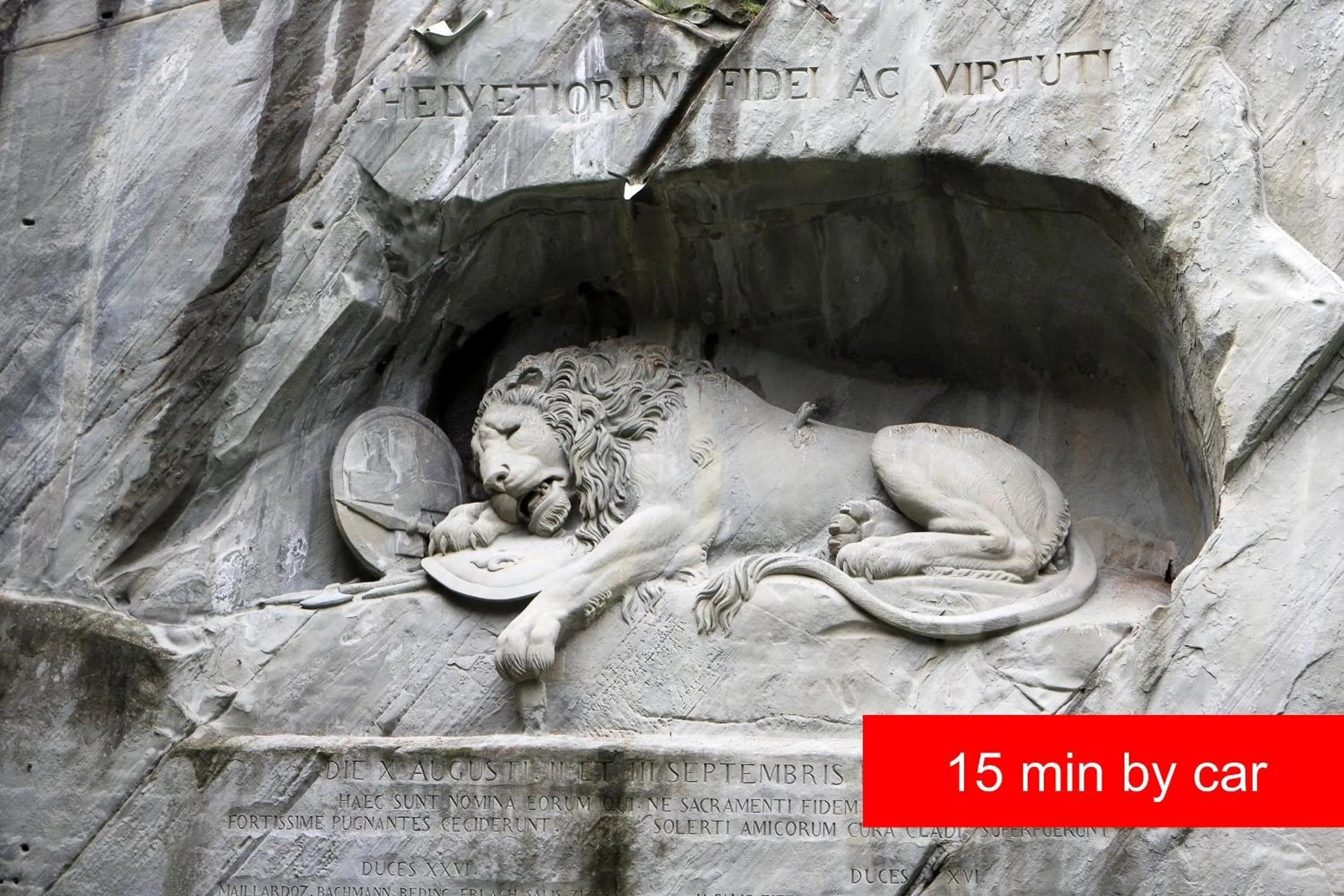 Area and facilities in Hotel Felmis