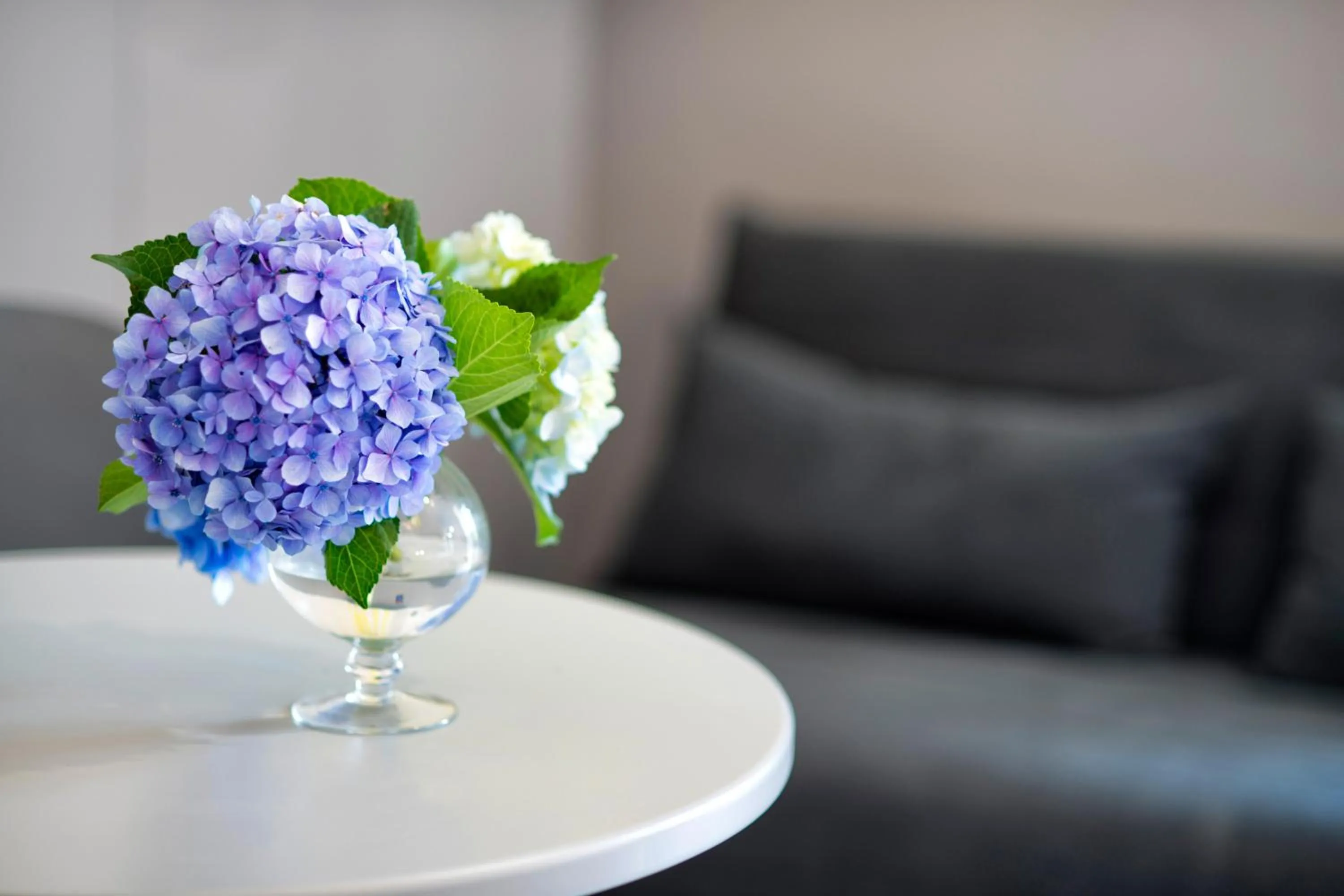 Decorative detail in Maison Di Fiore B&B