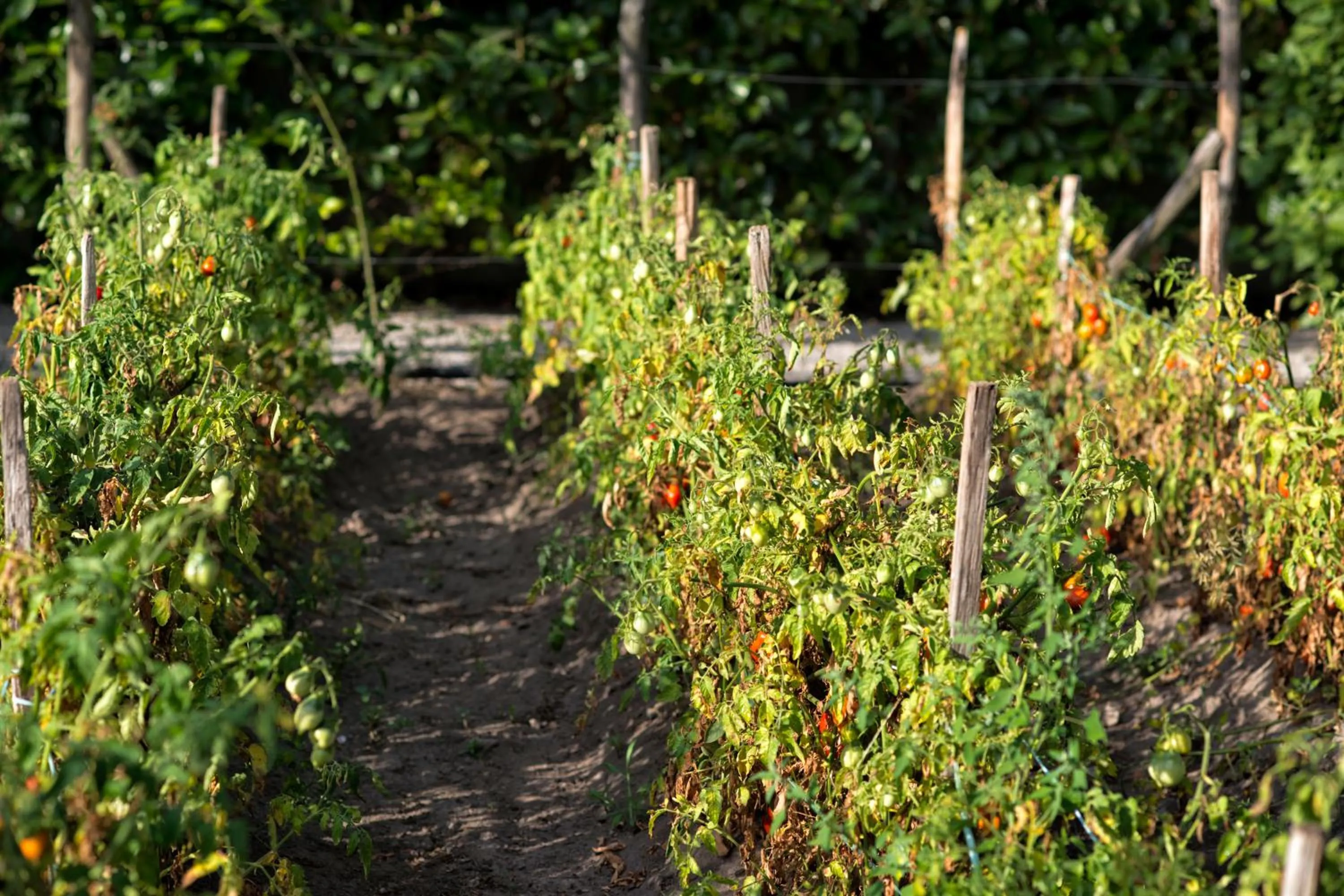 Floor plan in Maison Di Fiore B&B