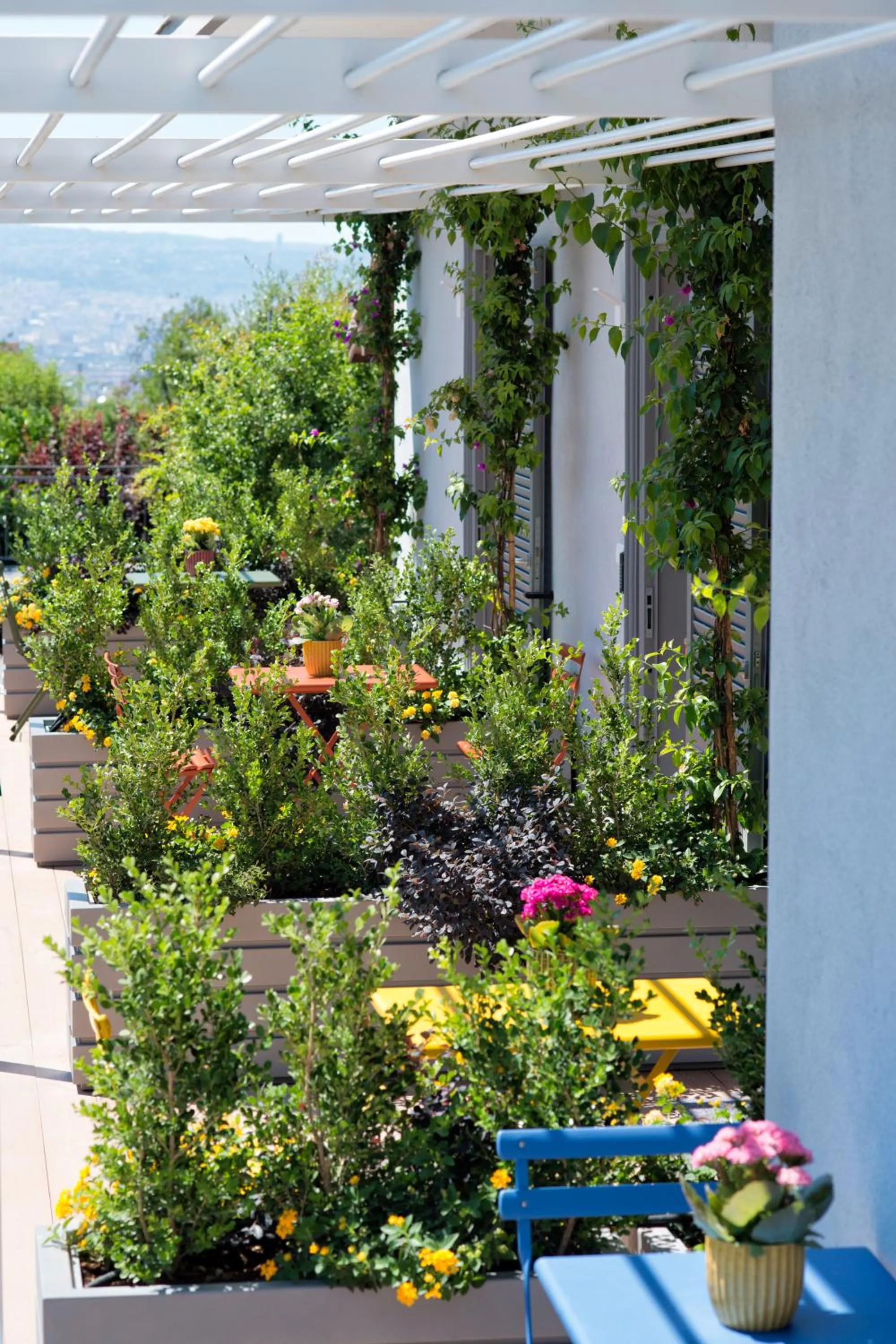 Patio in Maison Di Fiore B&B