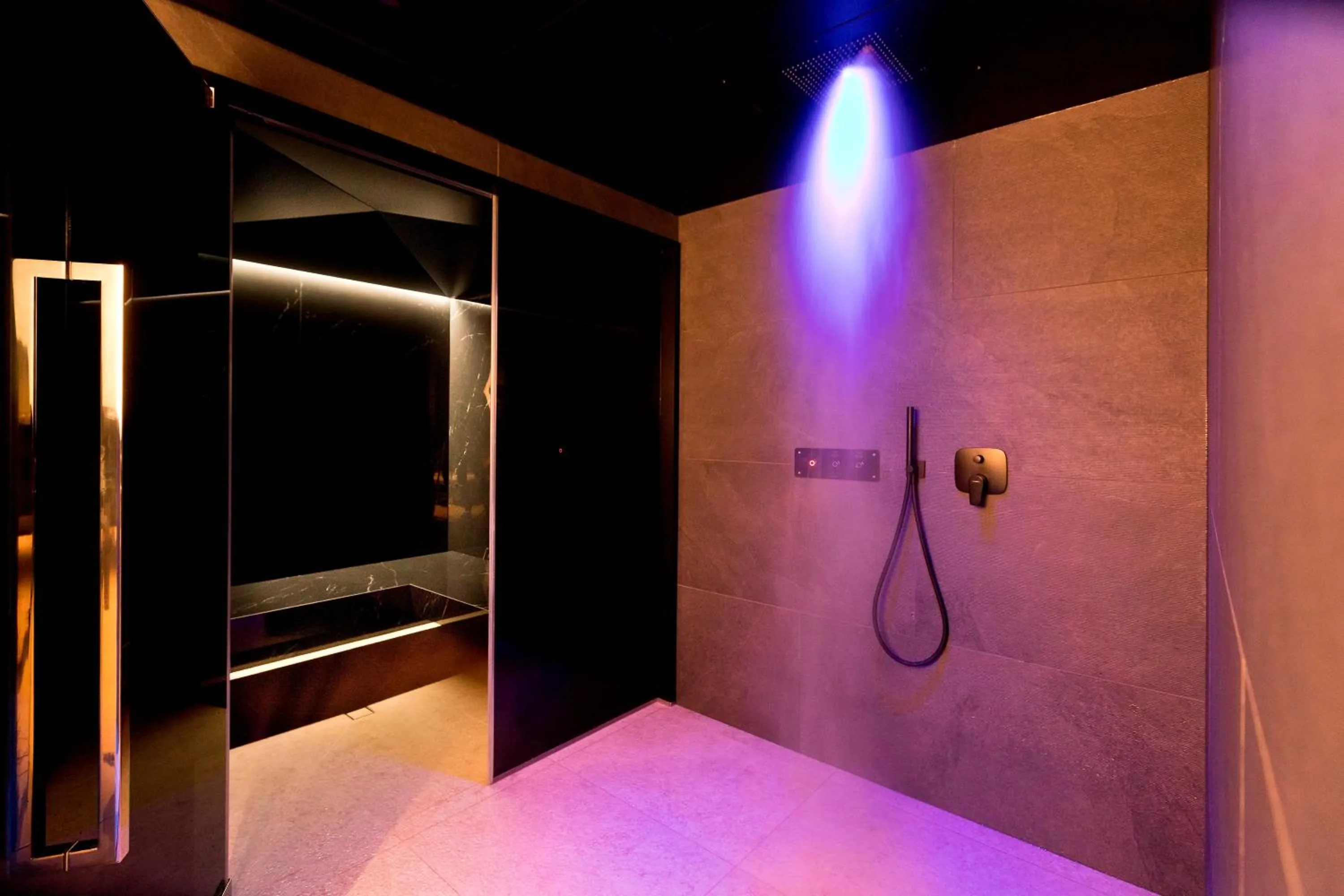 Spa and wellness centre/facilities in Hotel la Palma au Lac