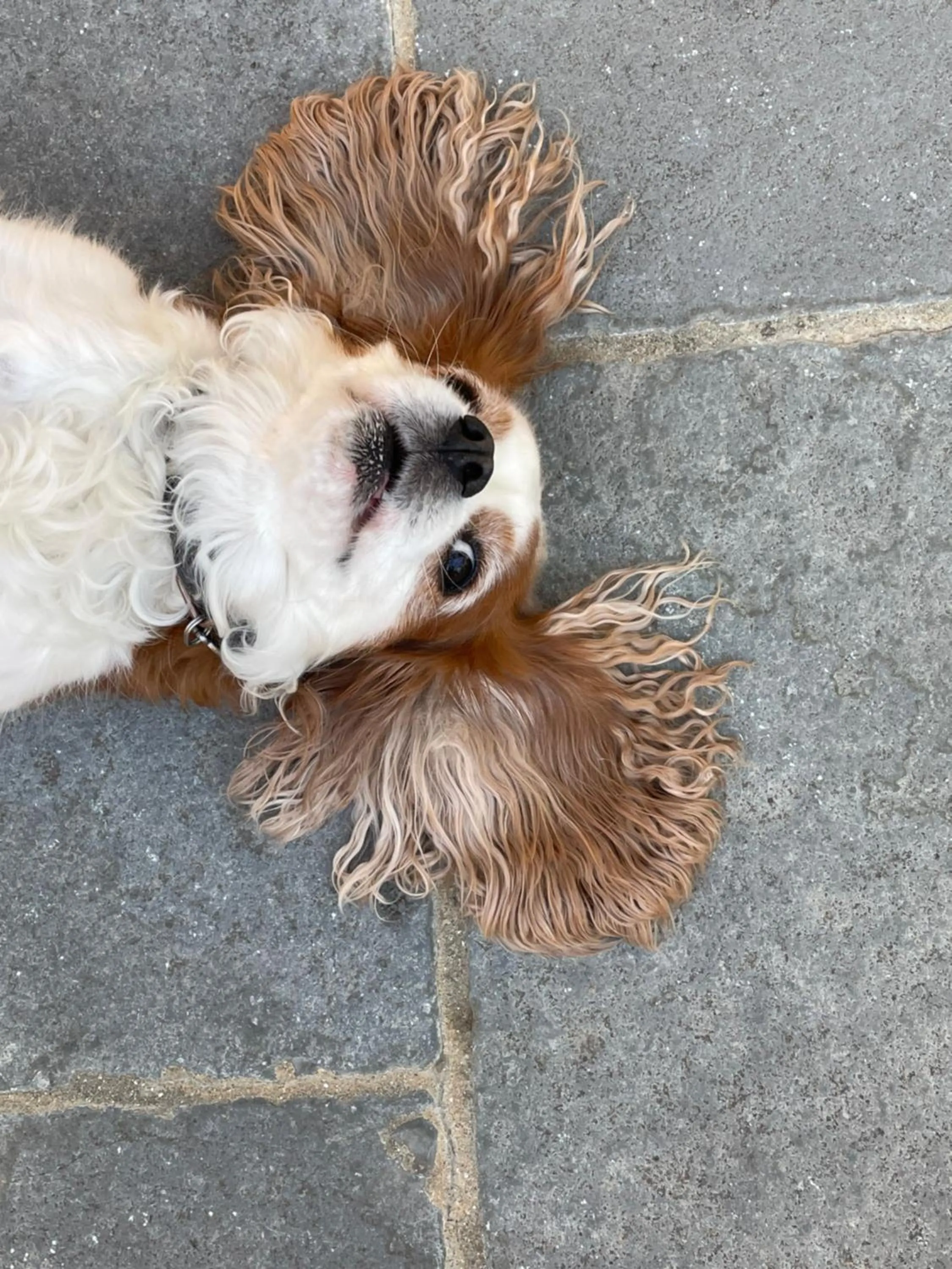 Property building in LE DOMAINE DE GORNETON