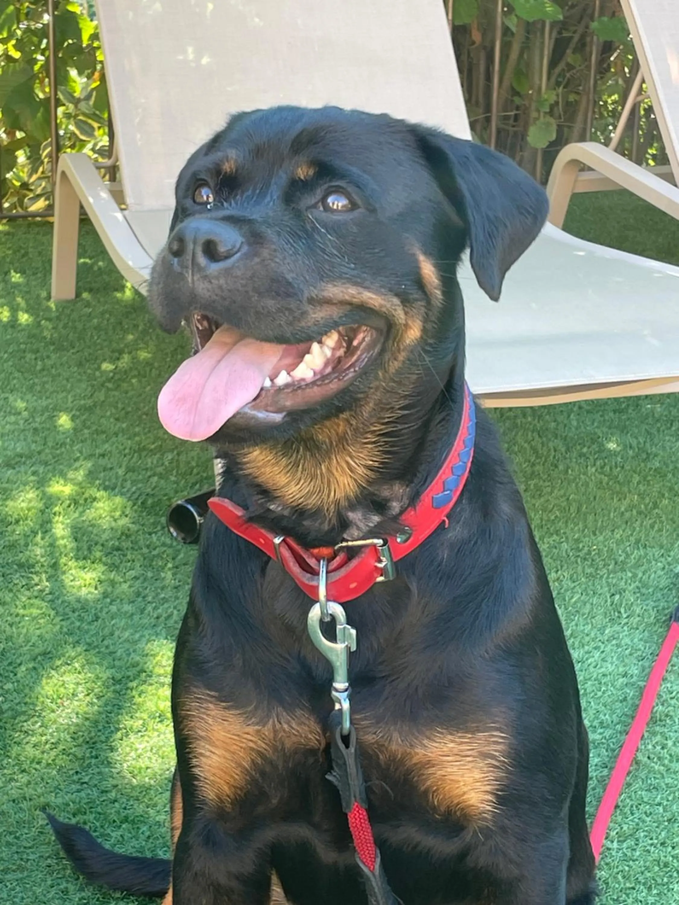 Property building in LE DOMAINE DE GORNETON