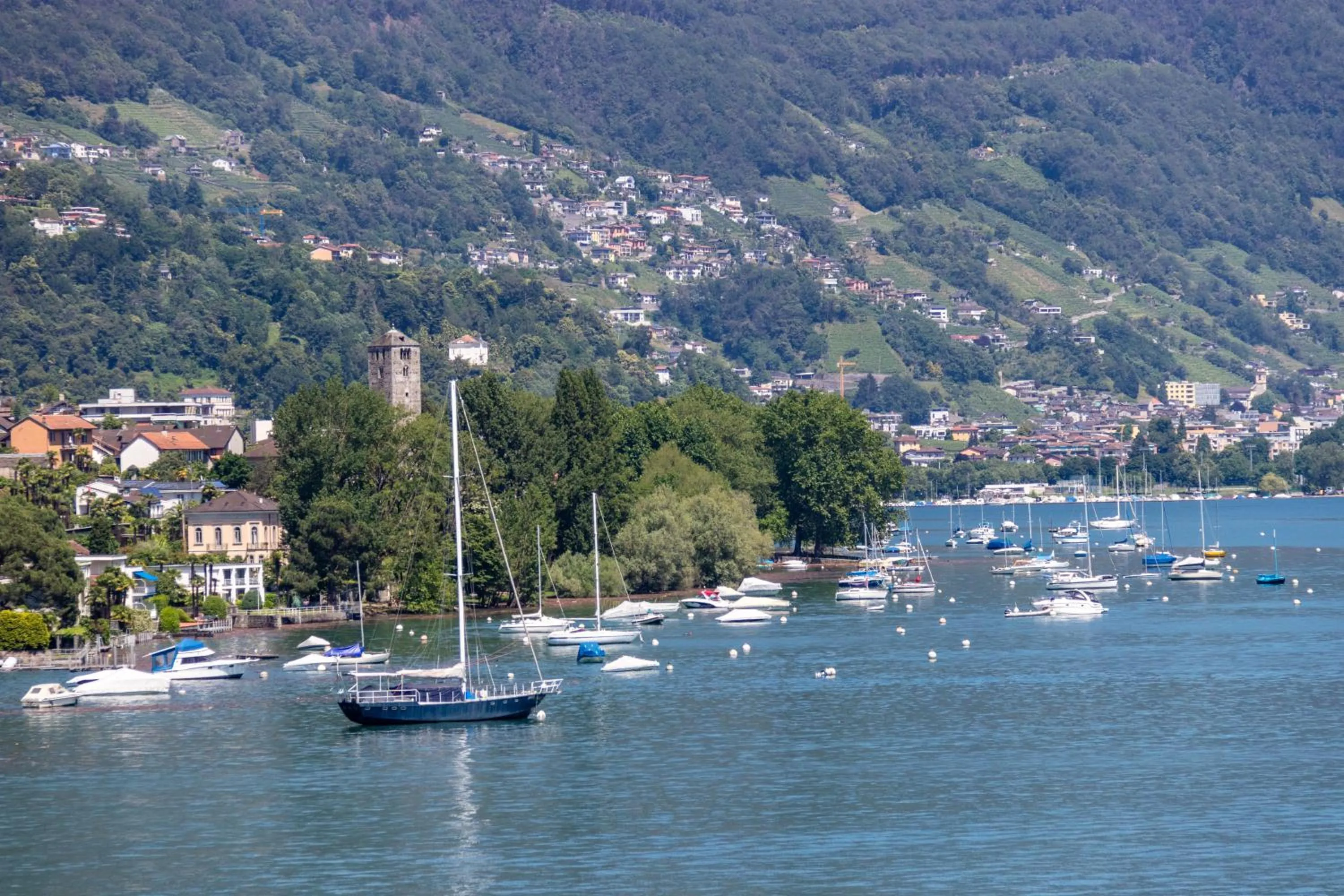 Natural landscape in H4 Hotel Arcadia Locarno