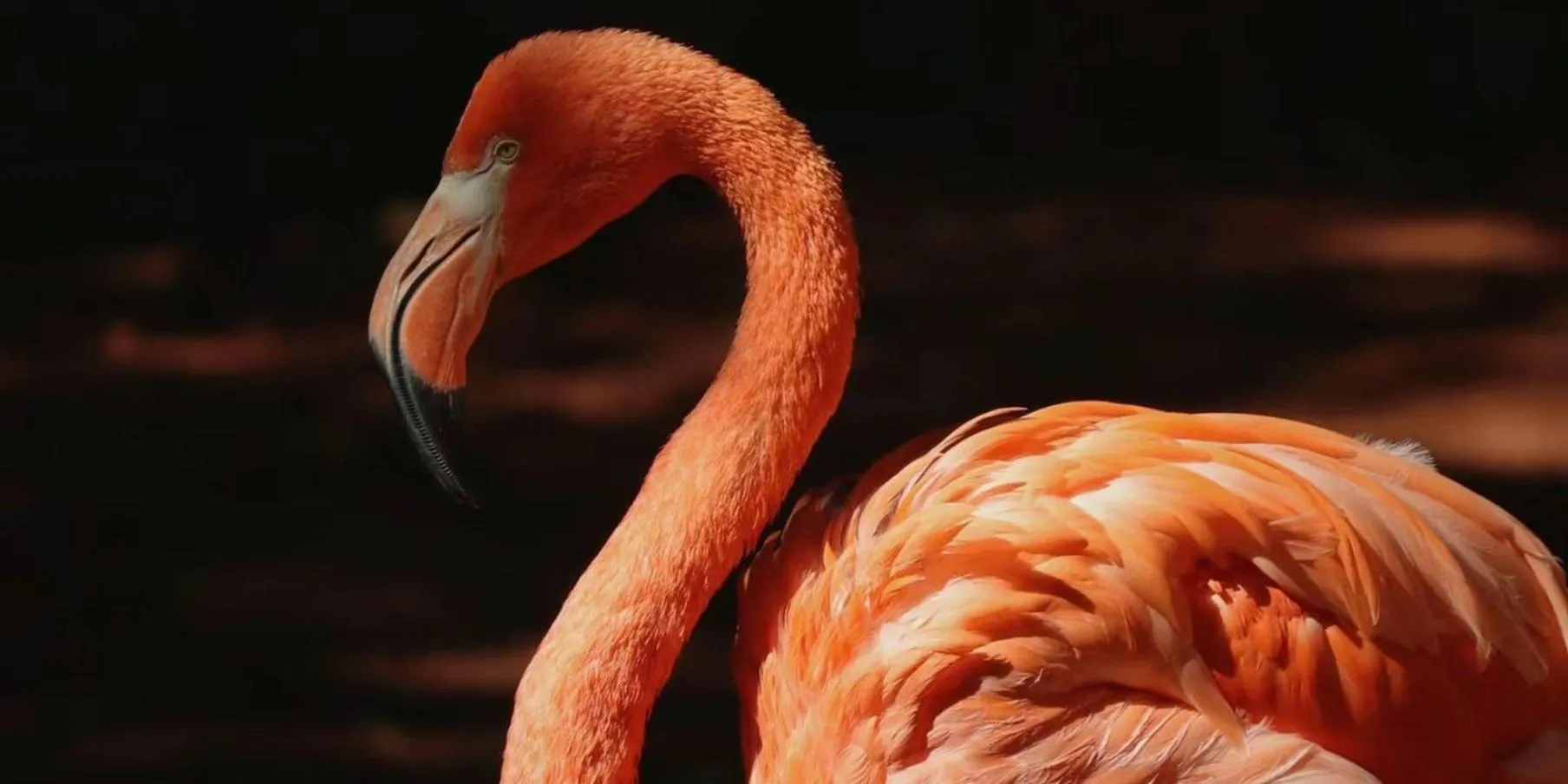 Area and facilities in Crowne Plaza Shanghai Hongqiao by IHG