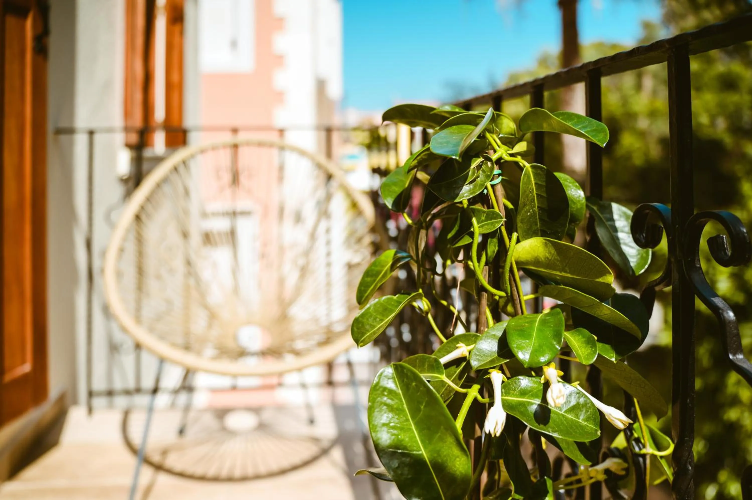 Konmari Boutique Suites