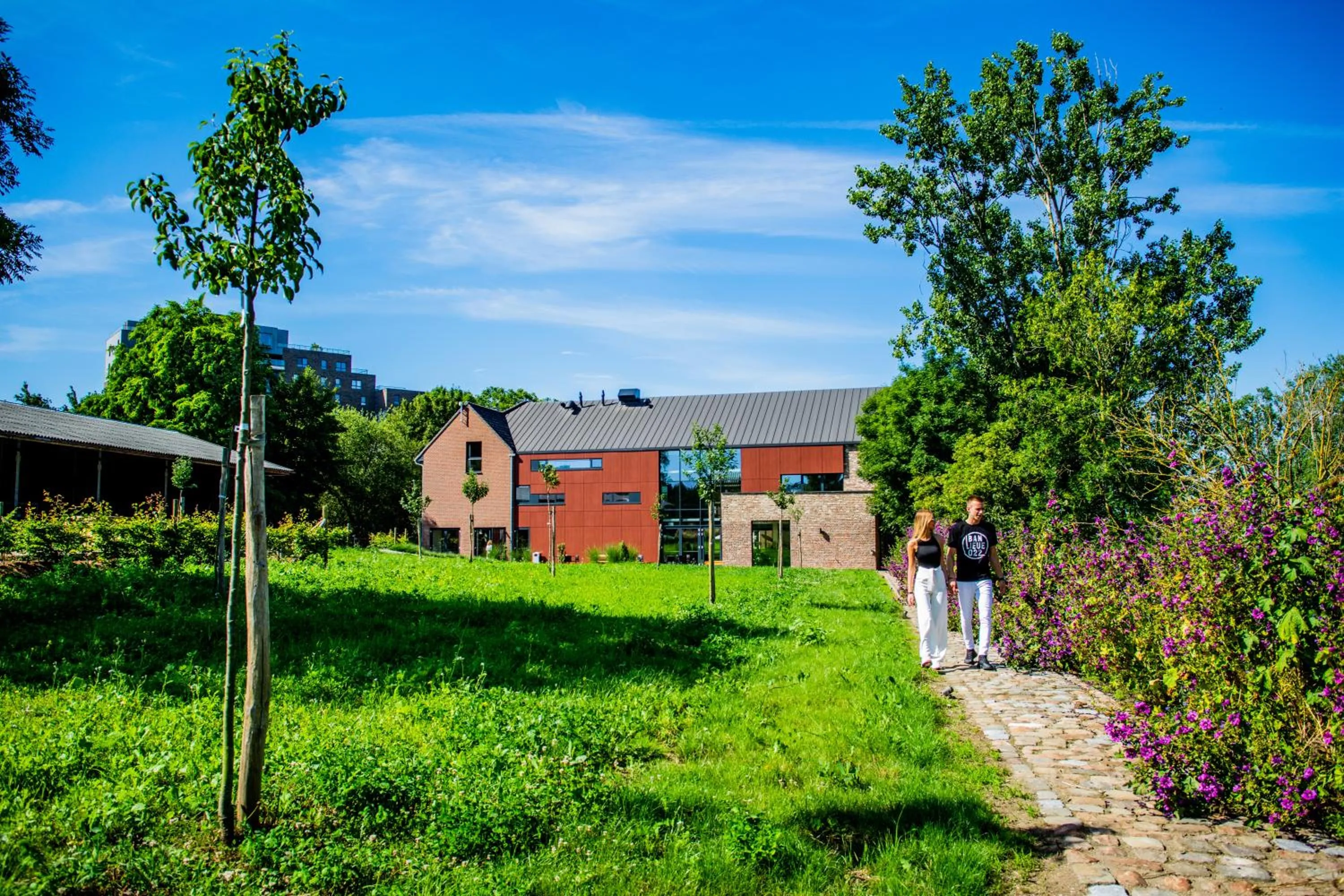 Property building in Hof van Stayen