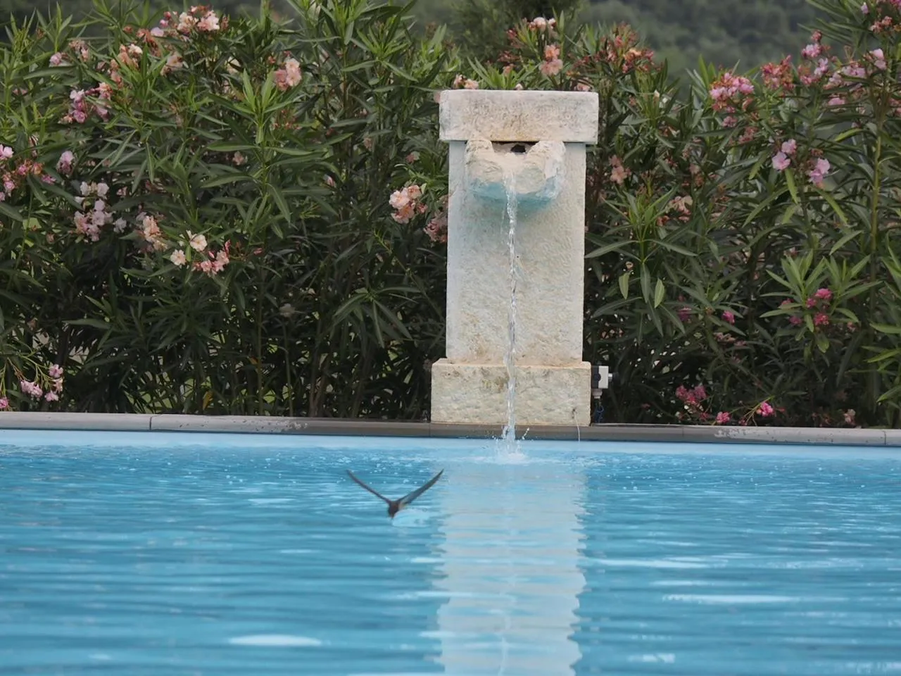 Swimming pool in Valle B&B