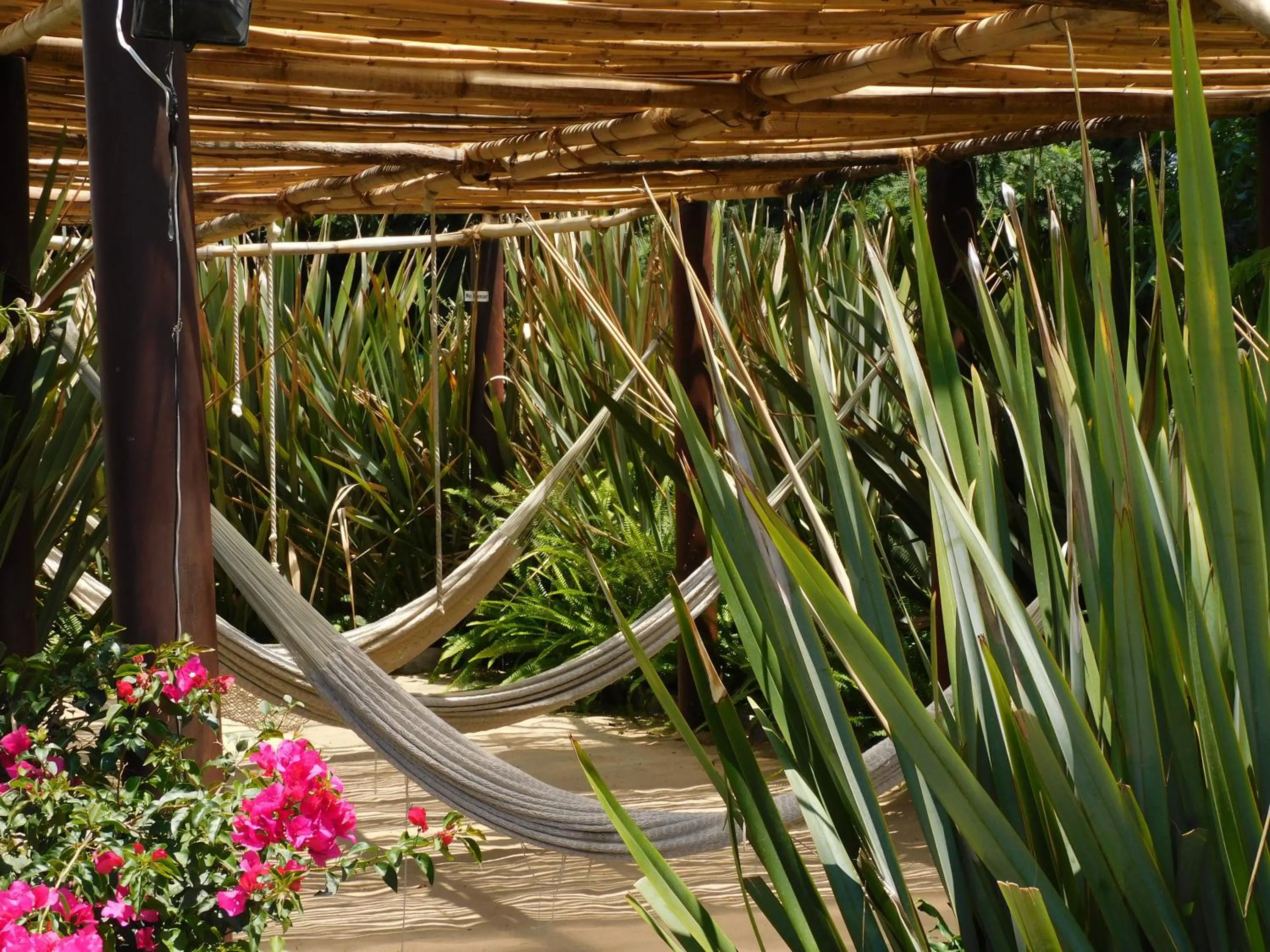 Garden in Hotel & Spa Luna Canela Boutique