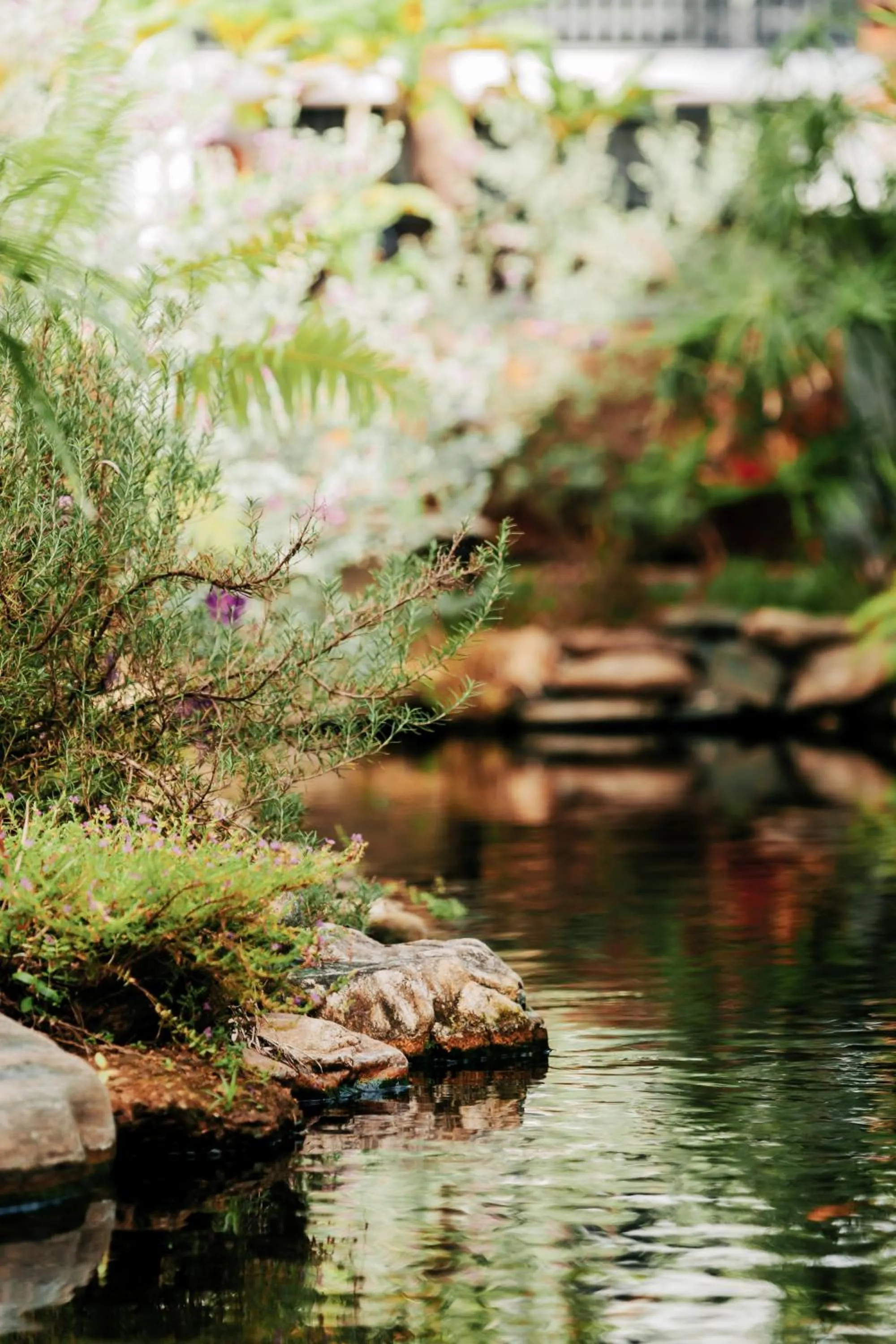 Lake view in Window Homestay