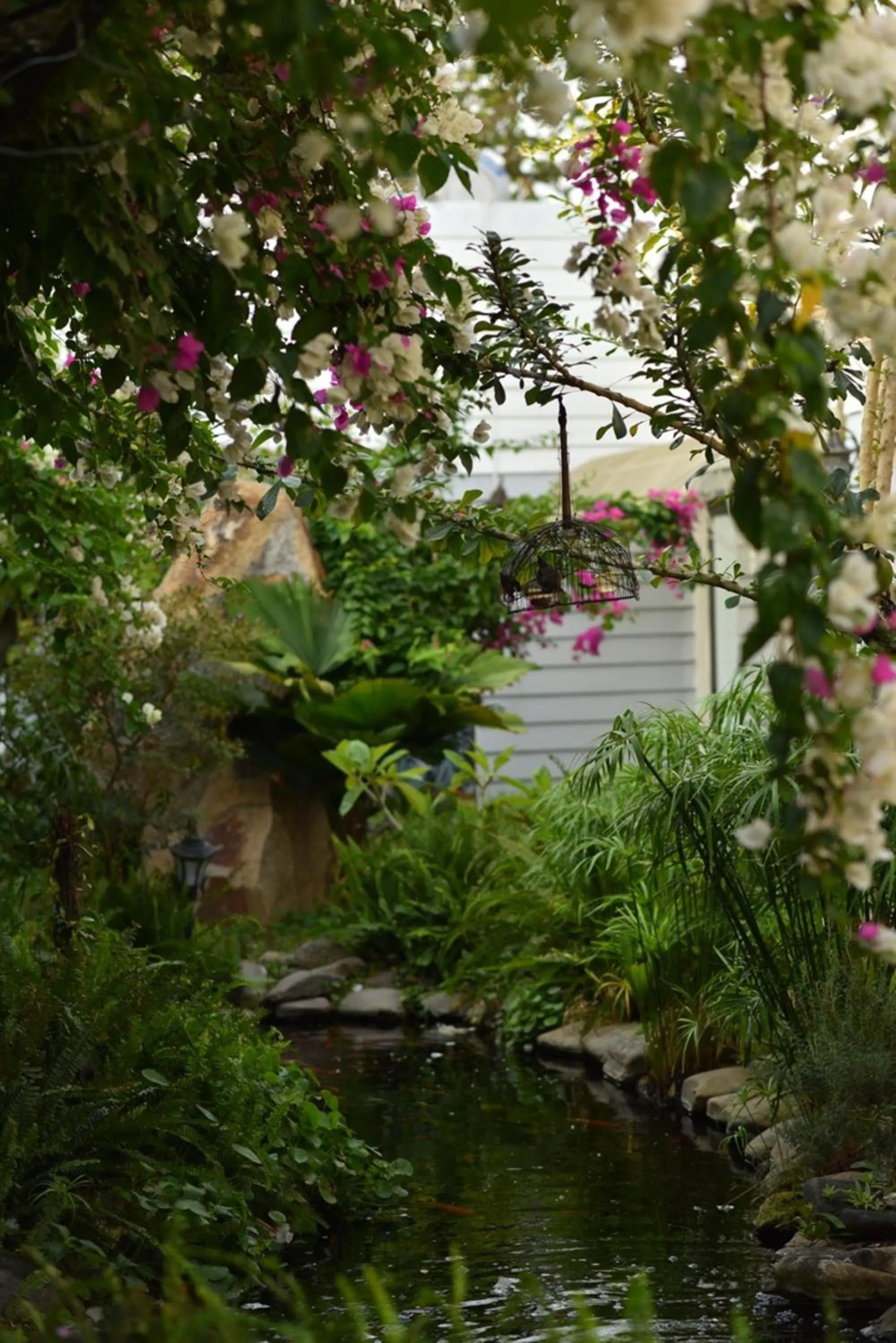 Garden in Window Homestay