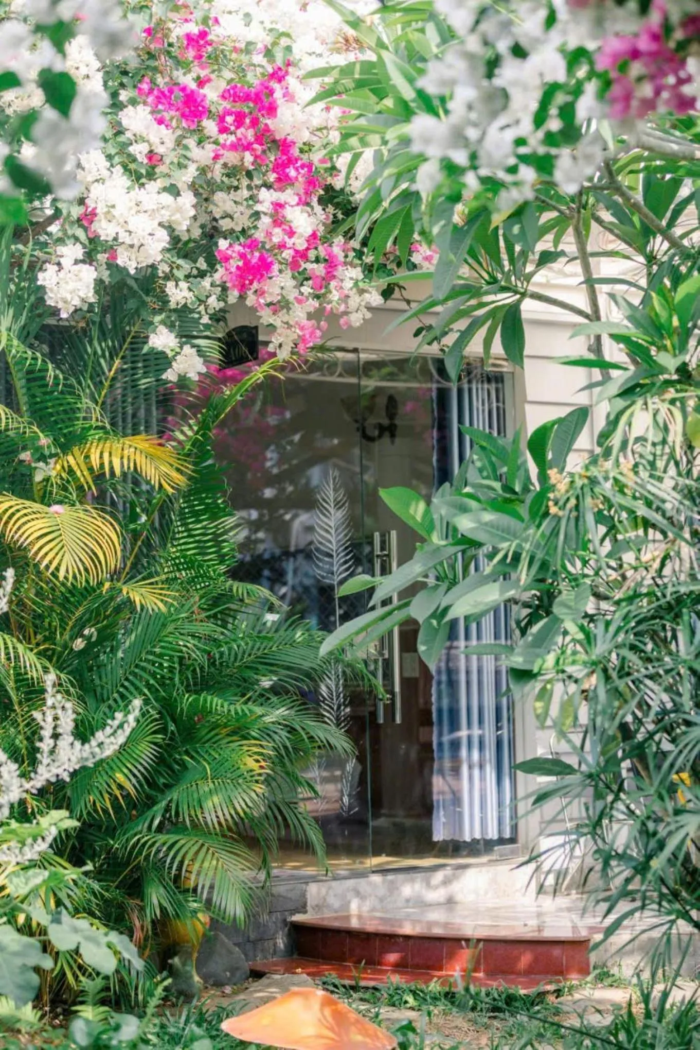 Garden view in Window Homestay