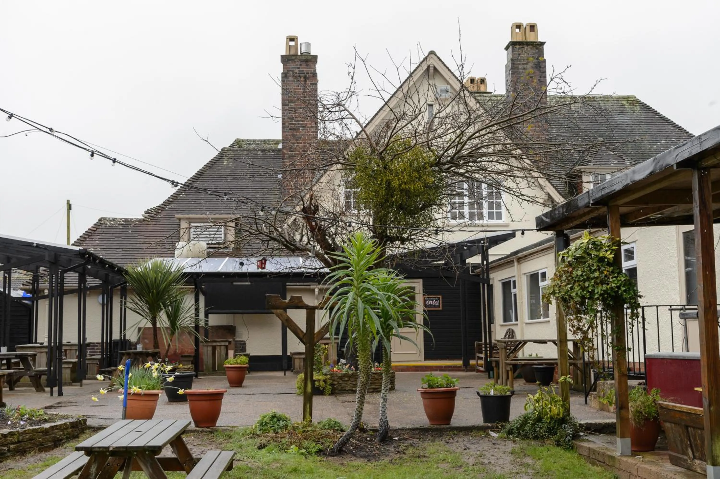 Garden in Balfour Arms