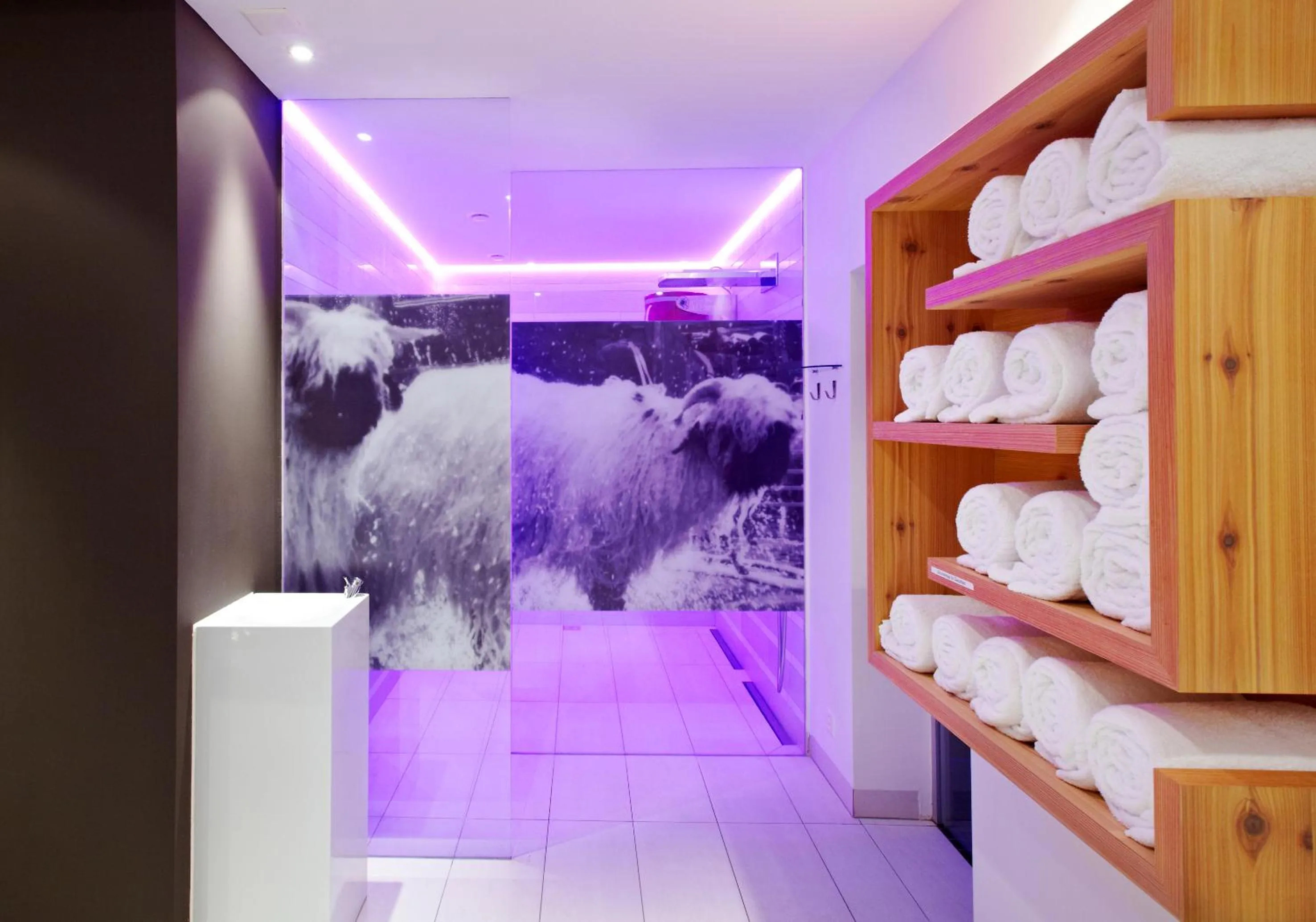 Steam room in Europe Hotel & Spa