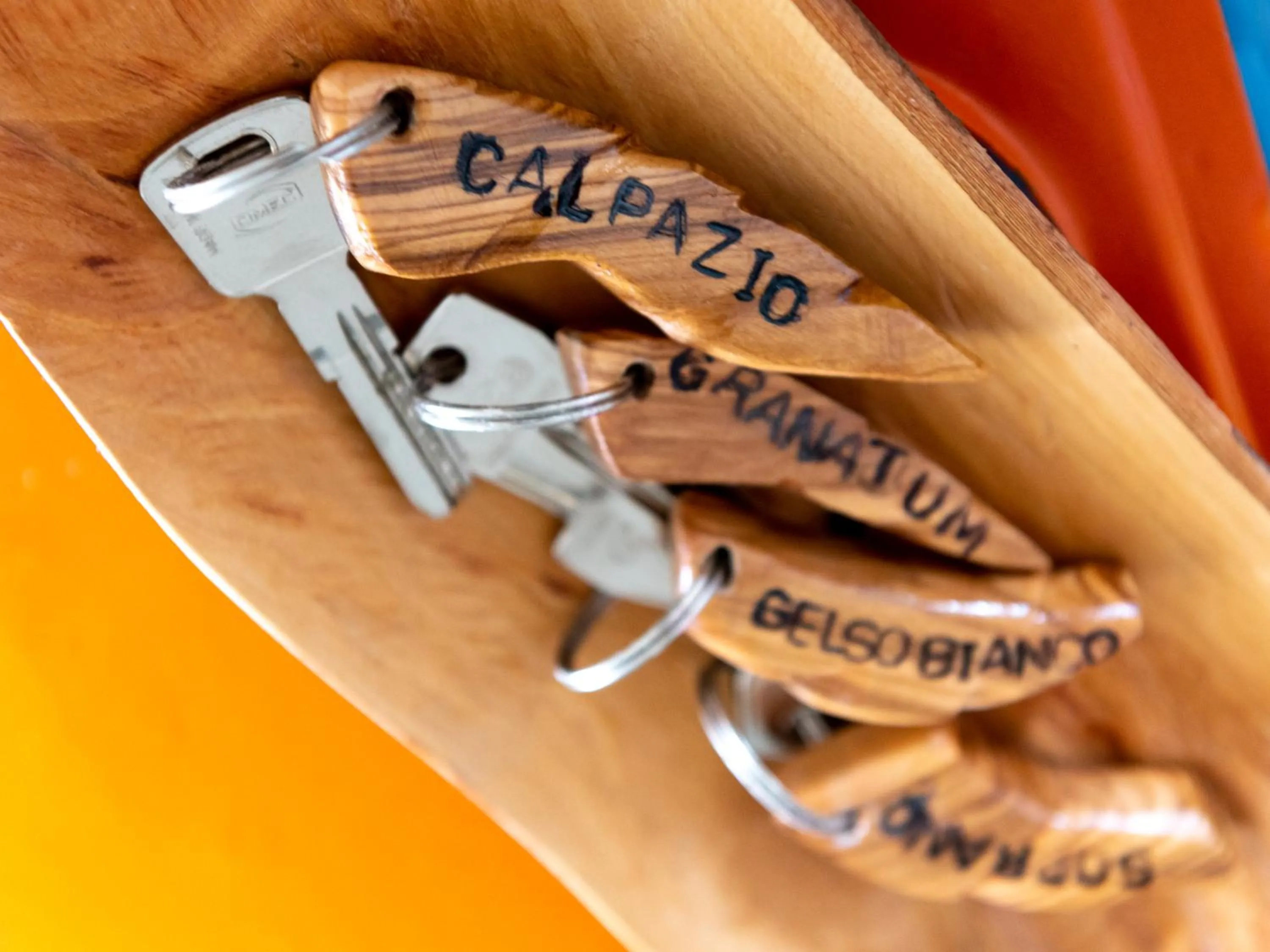 Decorative detail in Dimora Iannelli - B&B Rurale Paestum