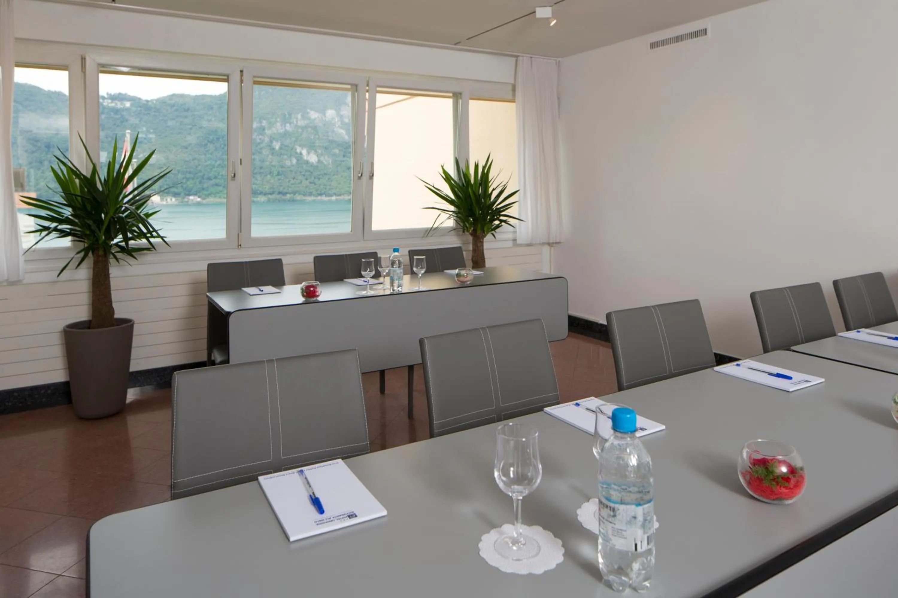Business facilities in Hotel Campione