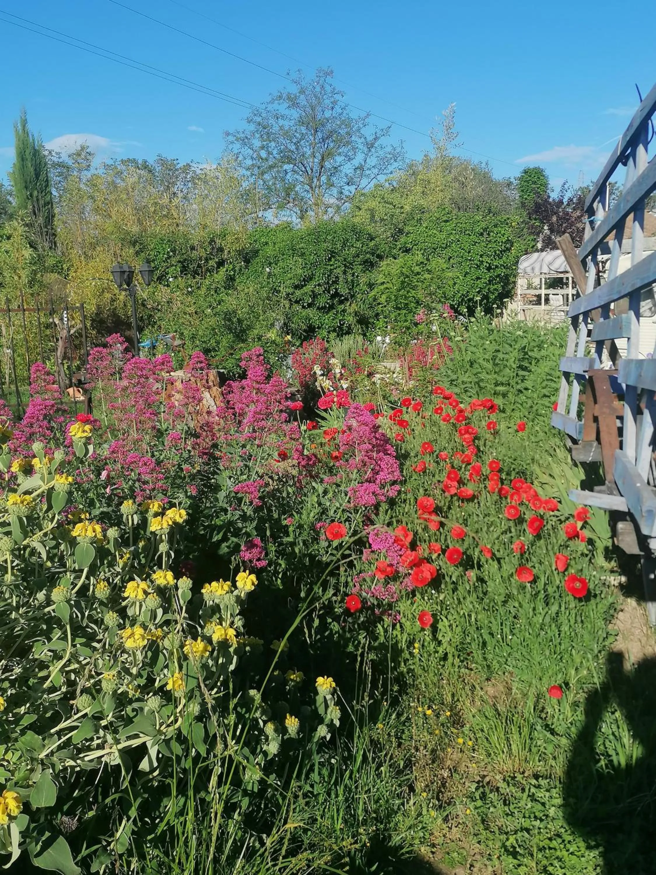 Garden view in la fée viviane et michel l'enchanteur