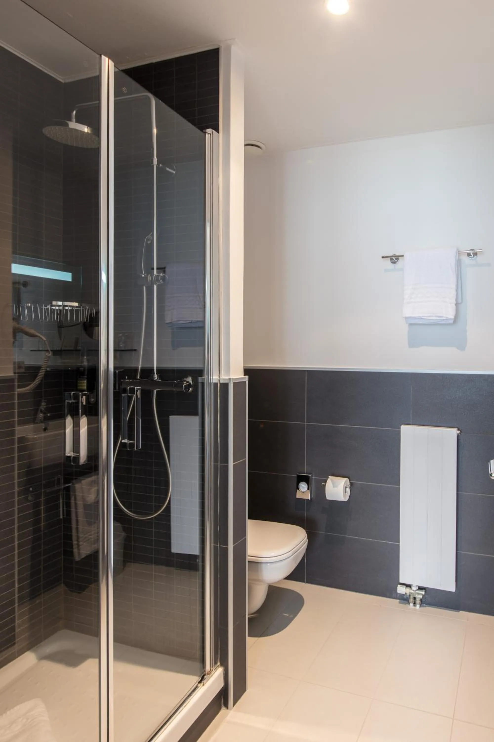 Bathroom in Hôtel Prealpina